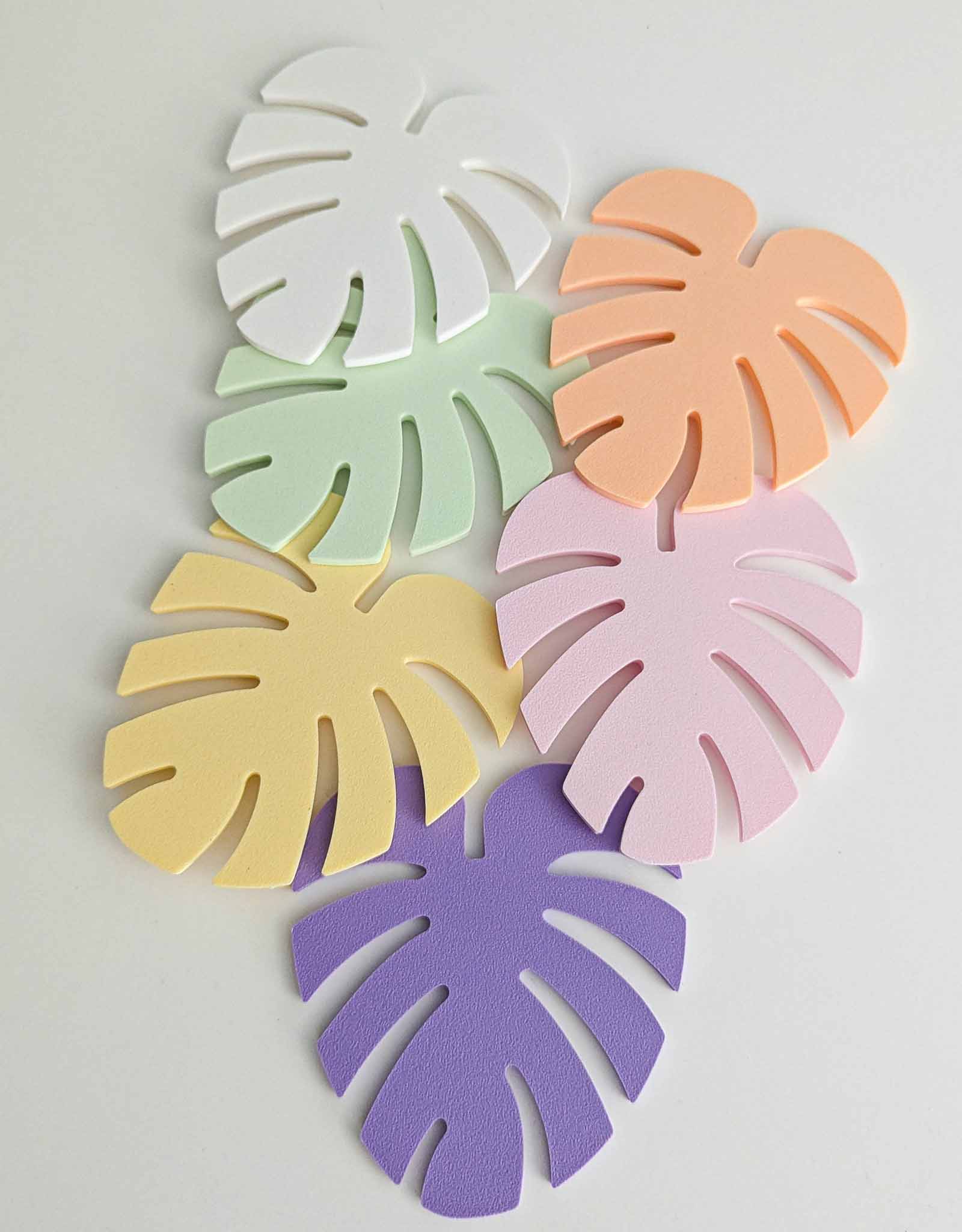 Monstera coasters