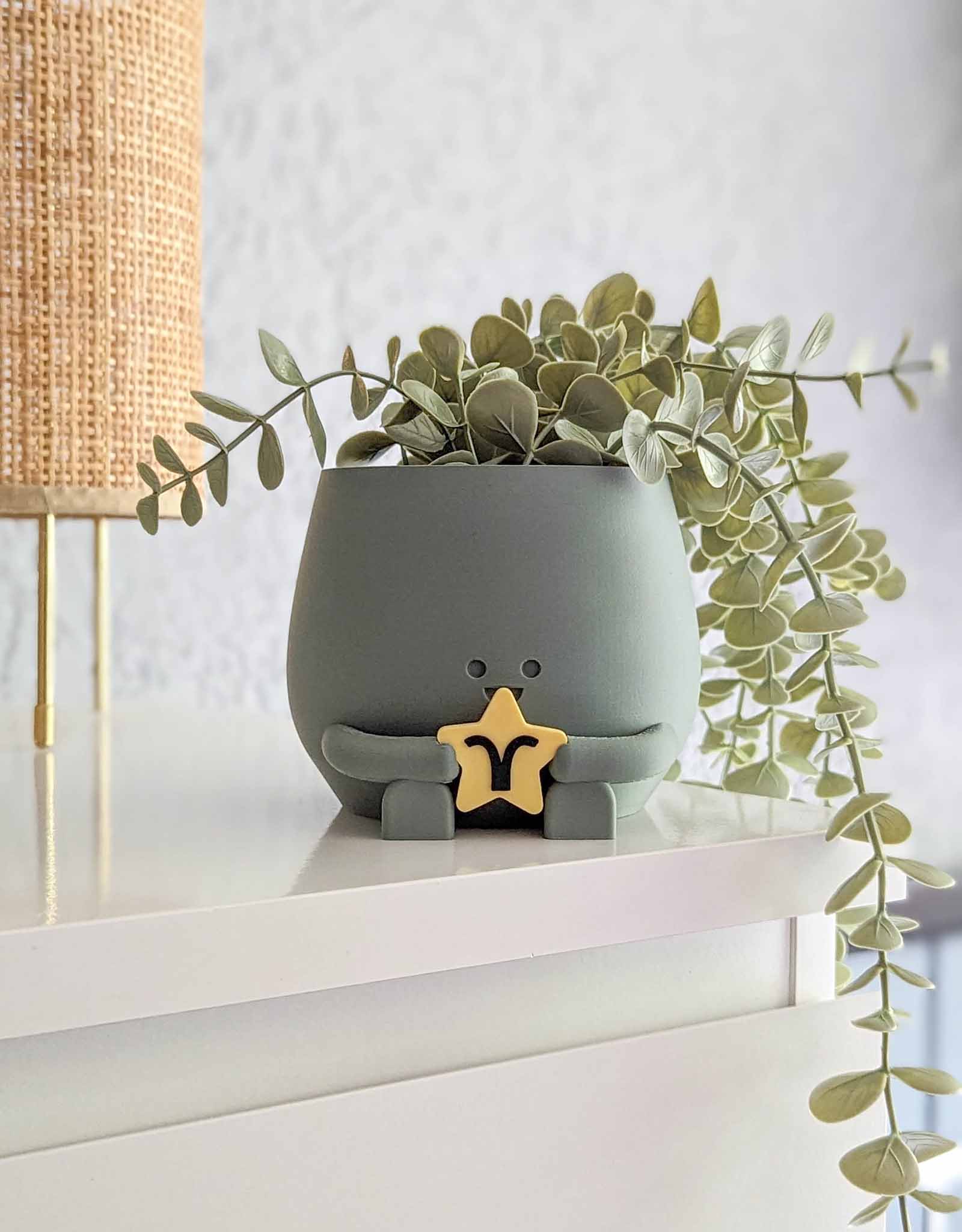 Happy plant pot zodiac signs