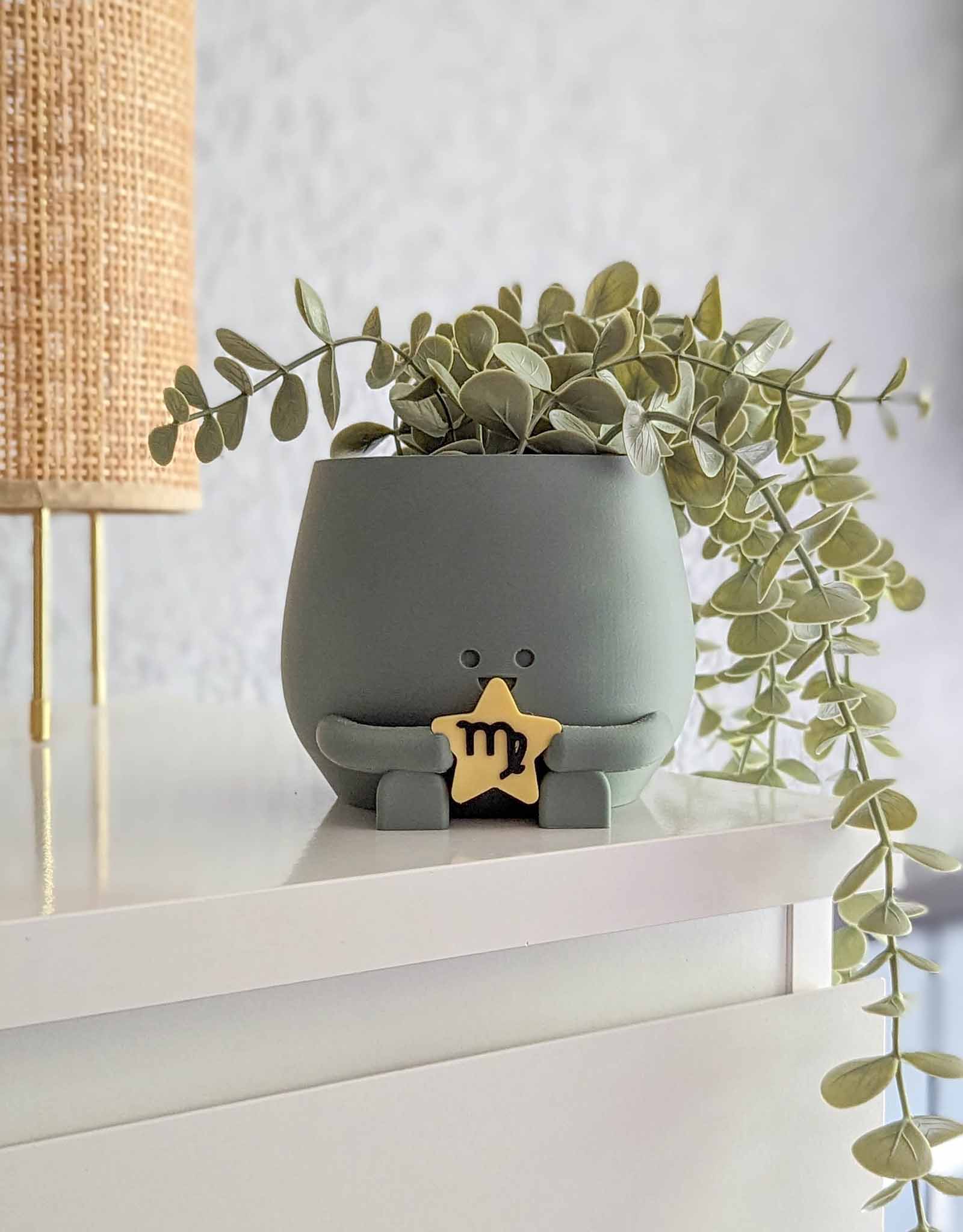 Happy plant pot zodiac signs