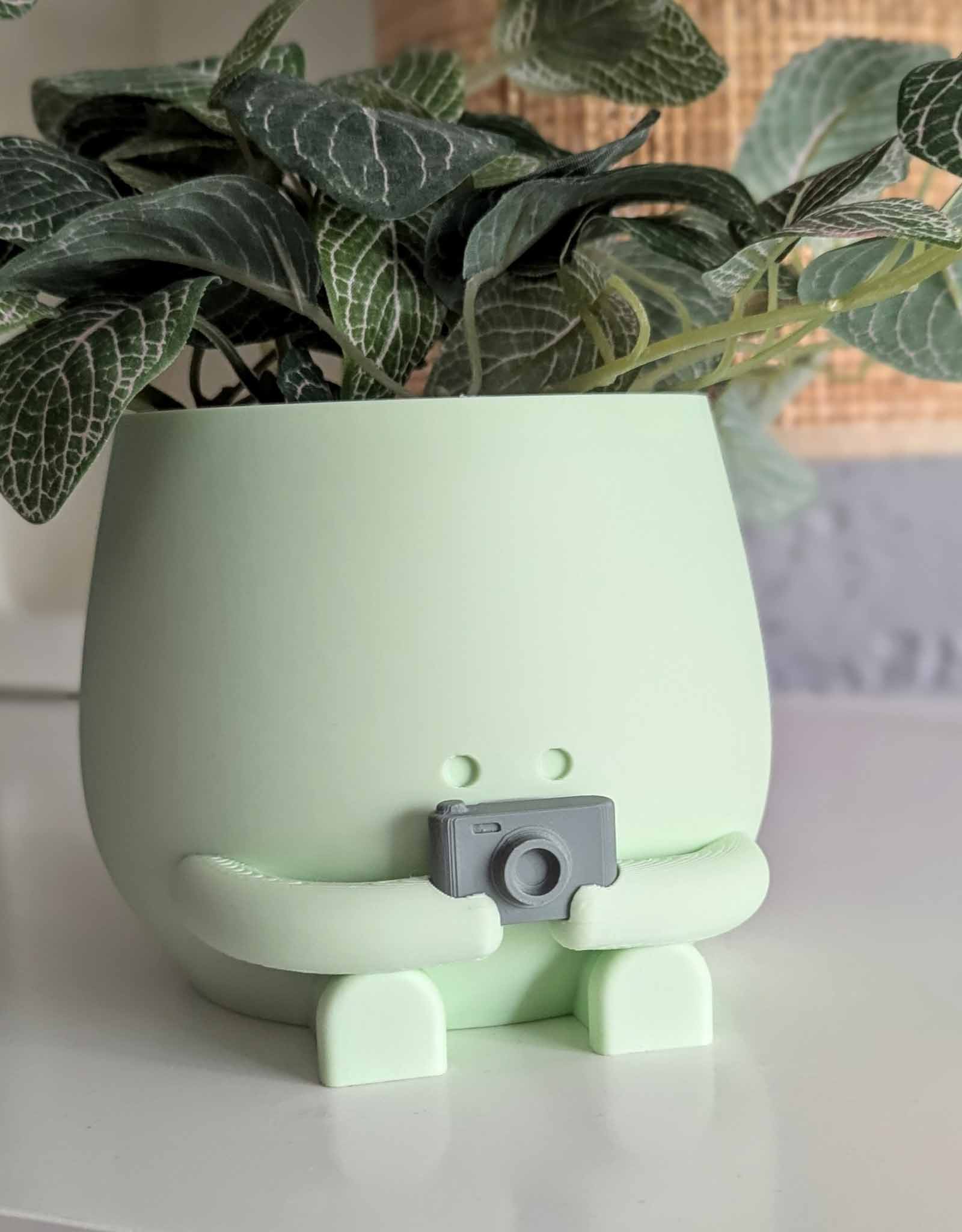 Happy camera plant pot
