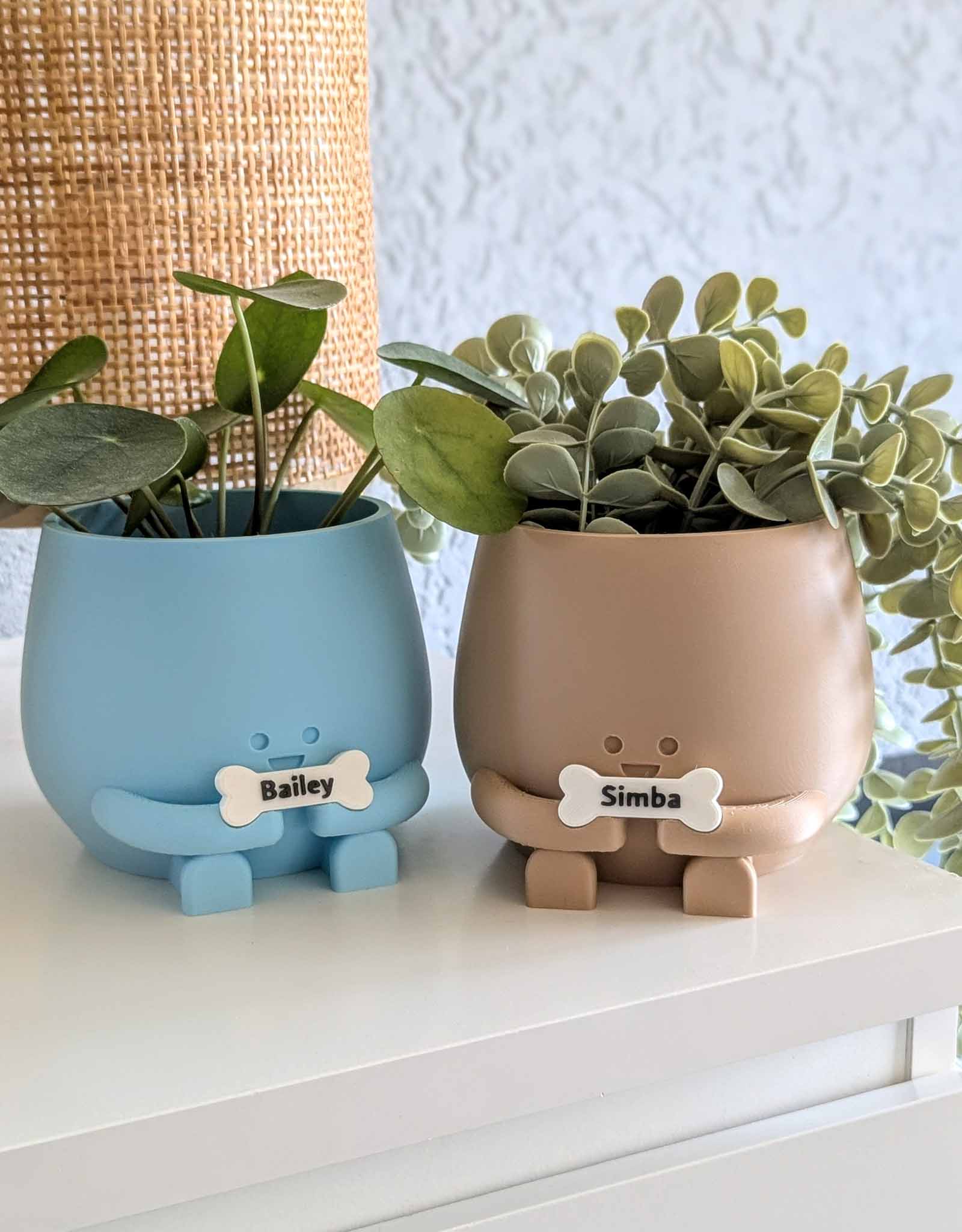 Happy dog bone plant pot