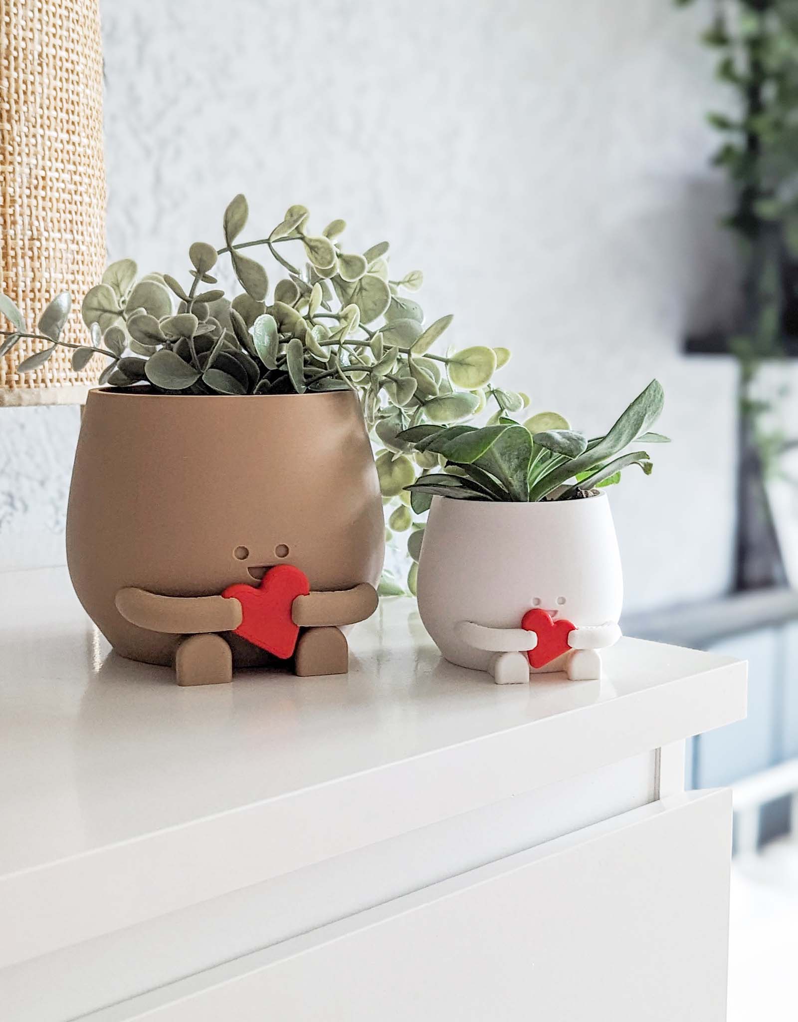 Happy heart plant pot