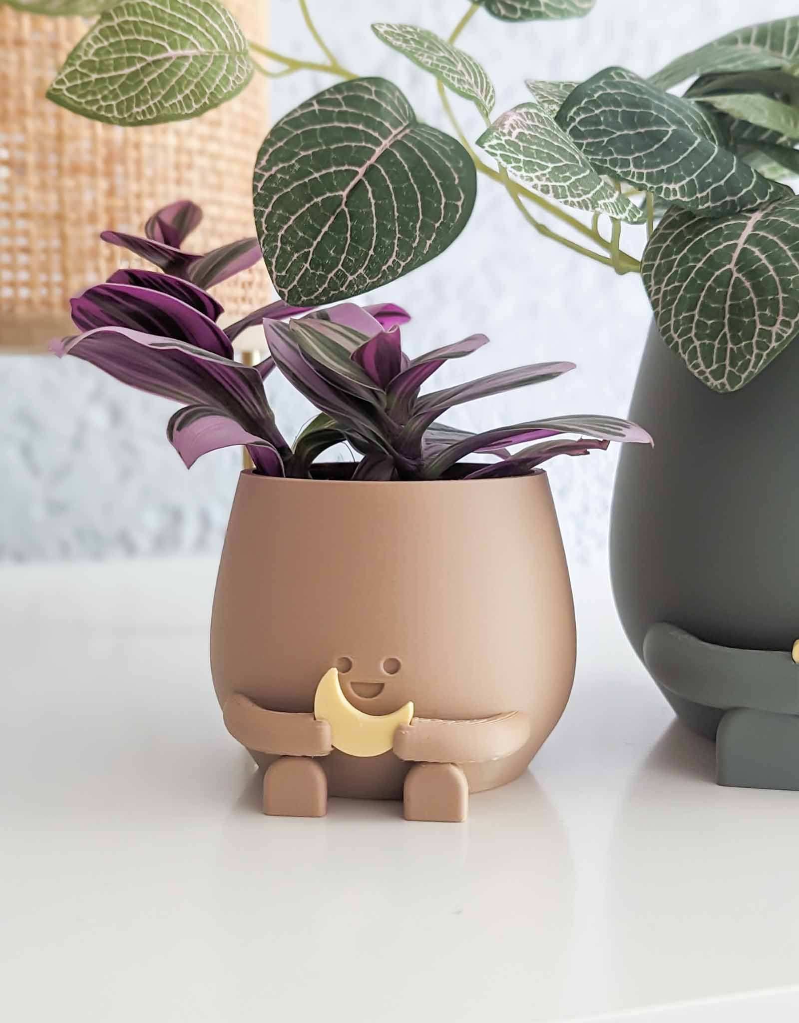 Happy plant pot cosmic star and moon