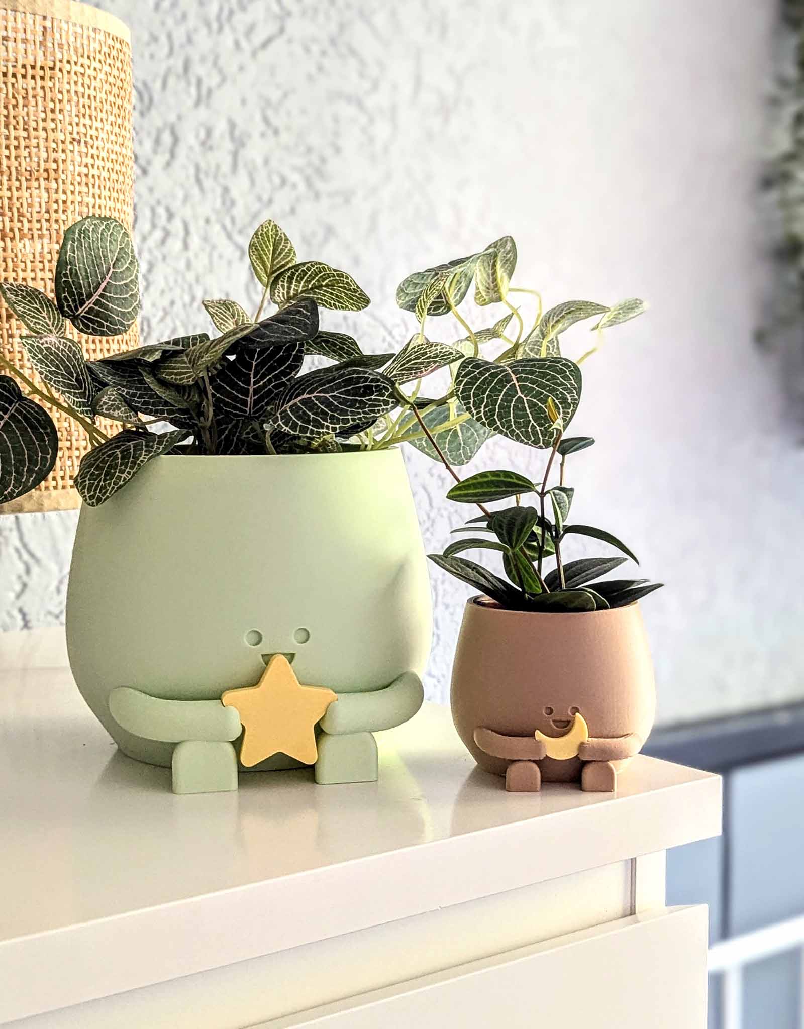 Happy plant pot cosmic star and moon