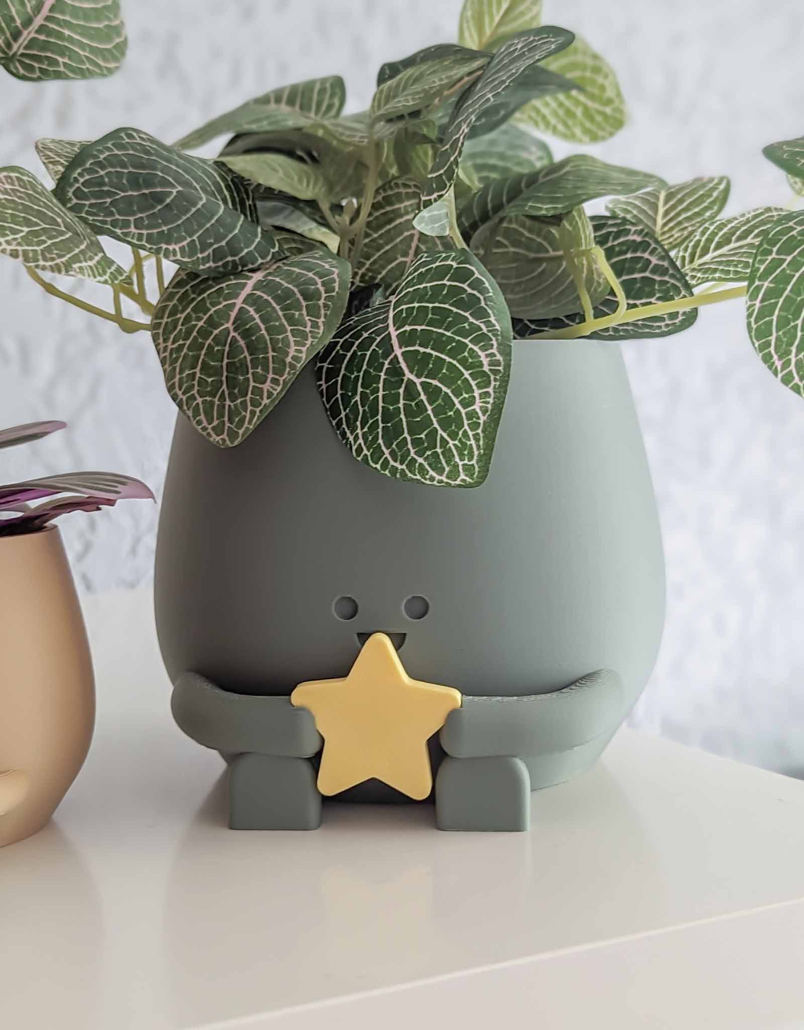 Happy plant pot cosmic star and moon