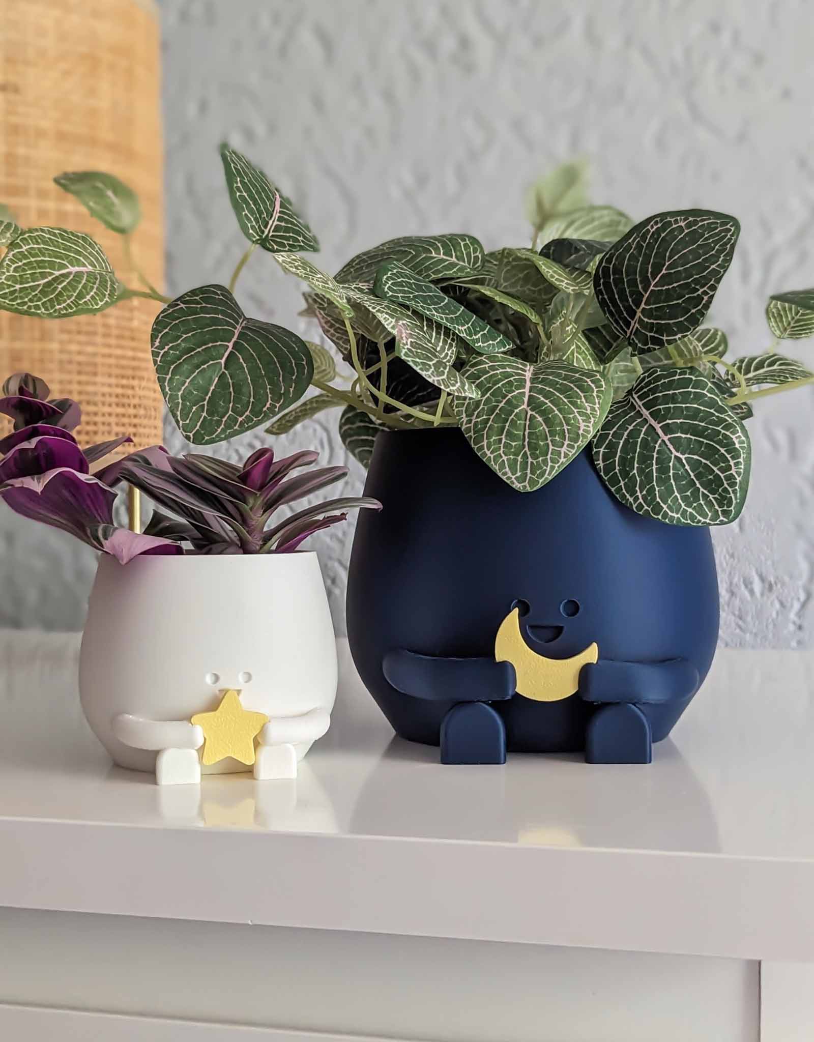 Happy plant pot cosmic star and moon