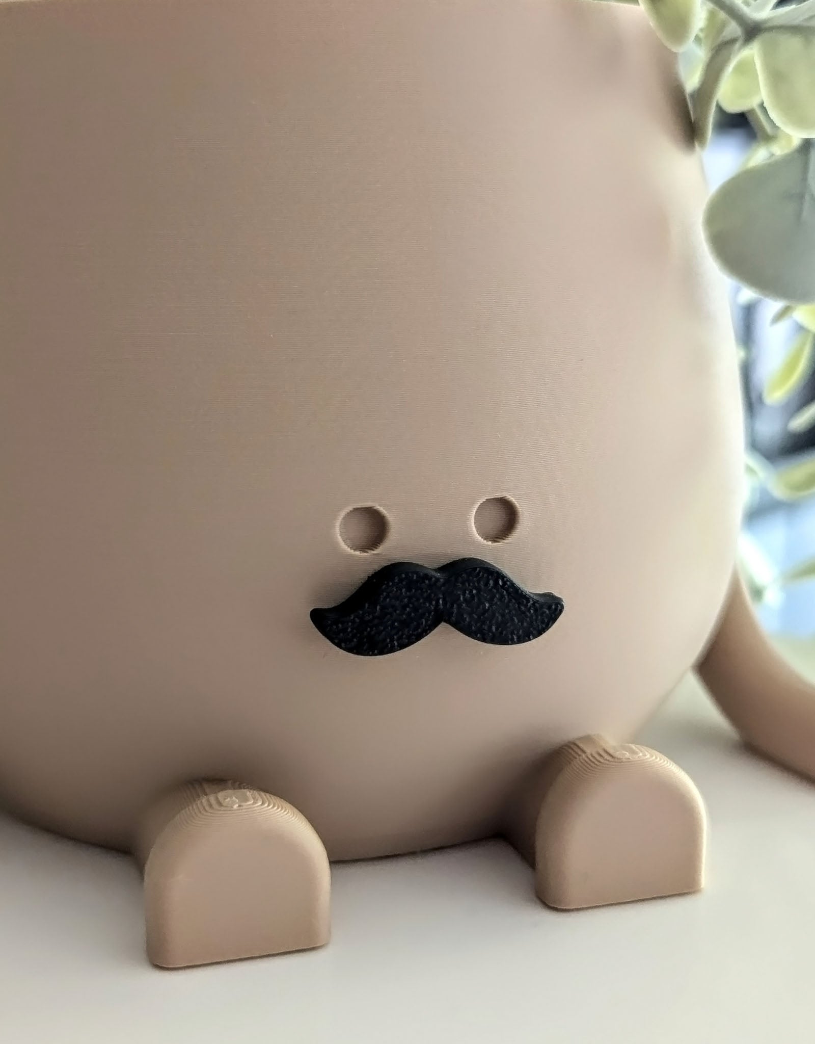 Happy mustache plant pot