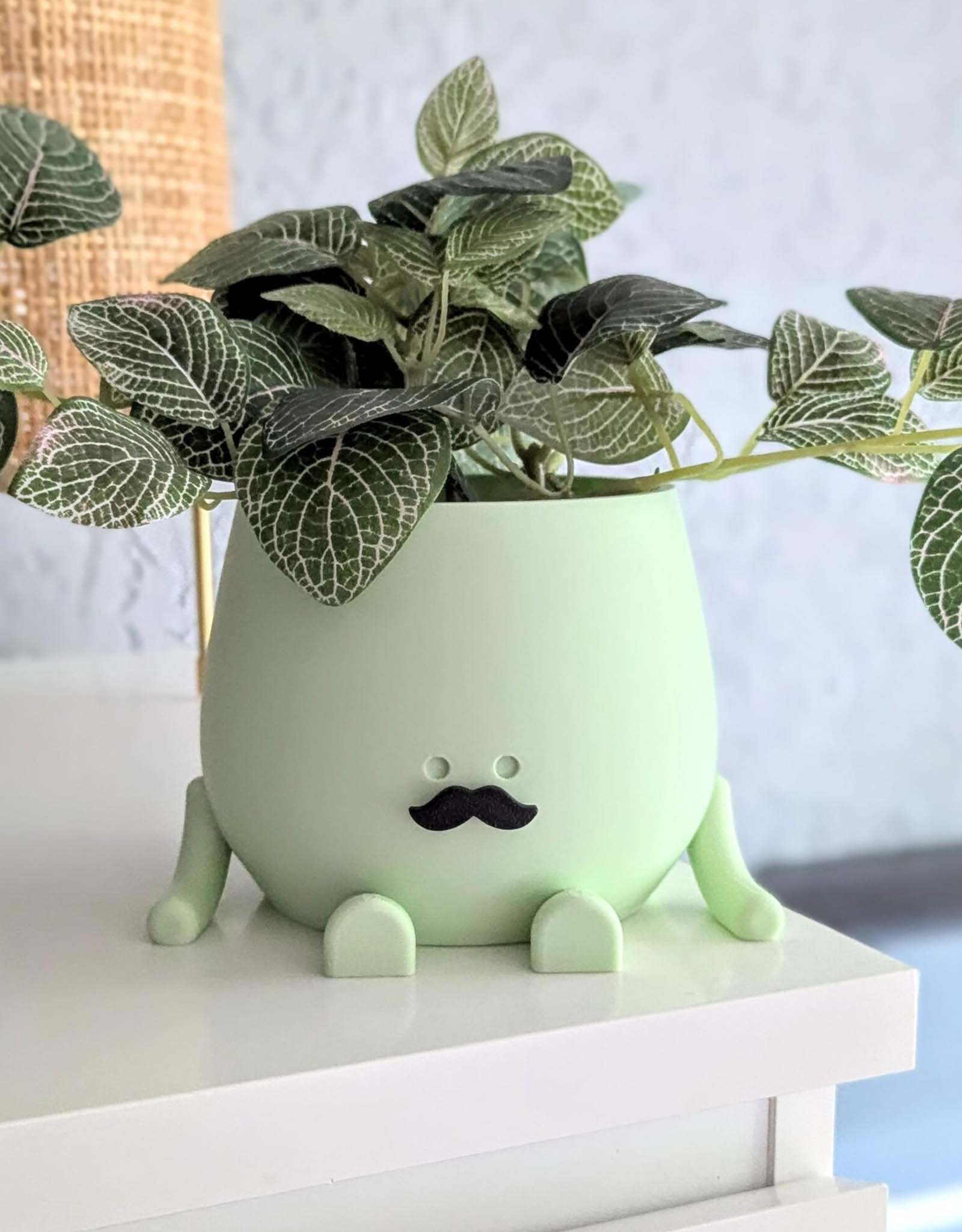 Happy mustache plant pot