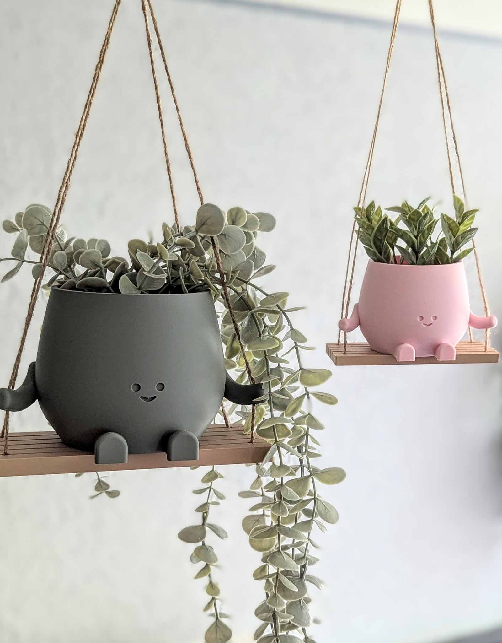 Happy plant pot on a swing