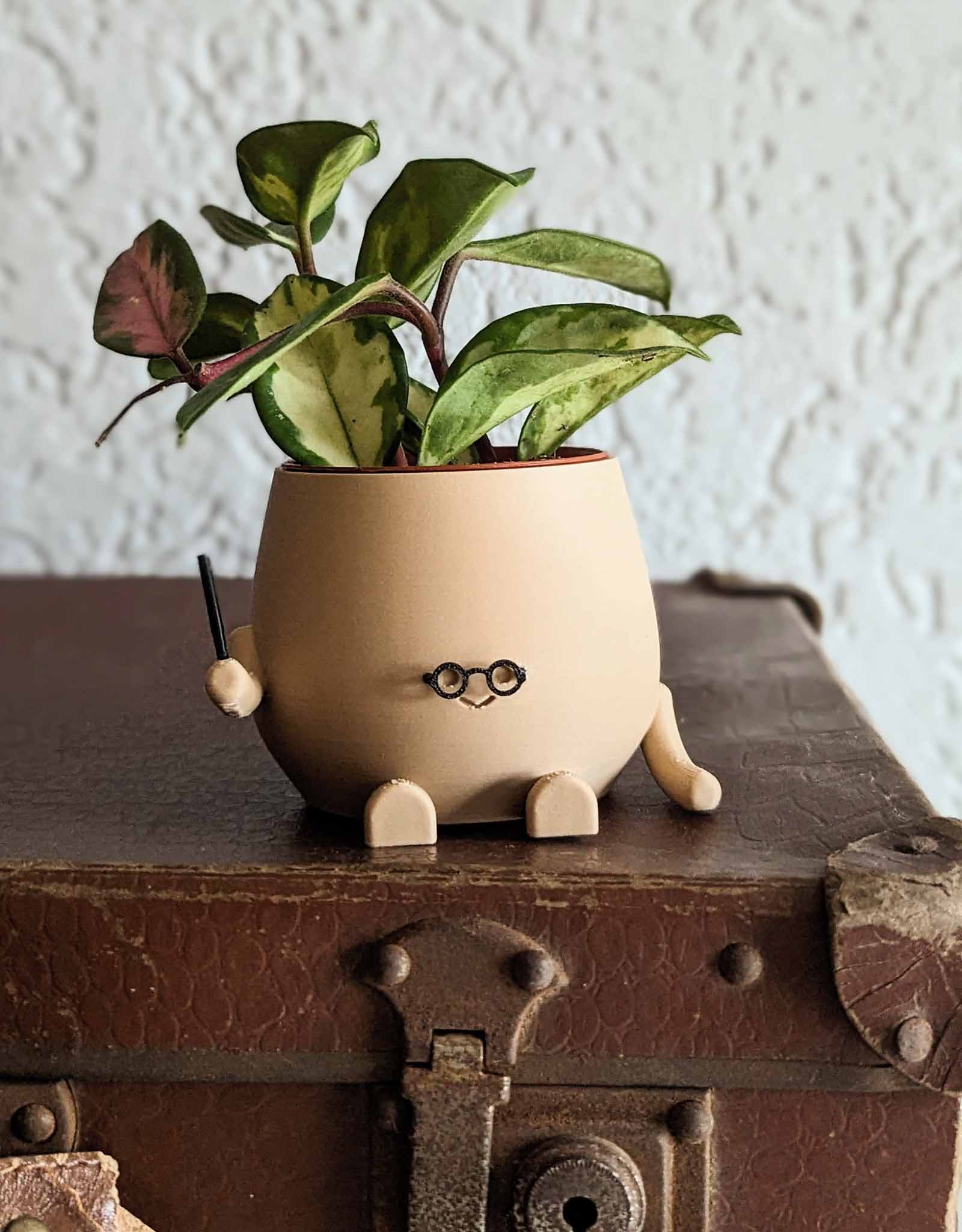 Happy wizard plant pot