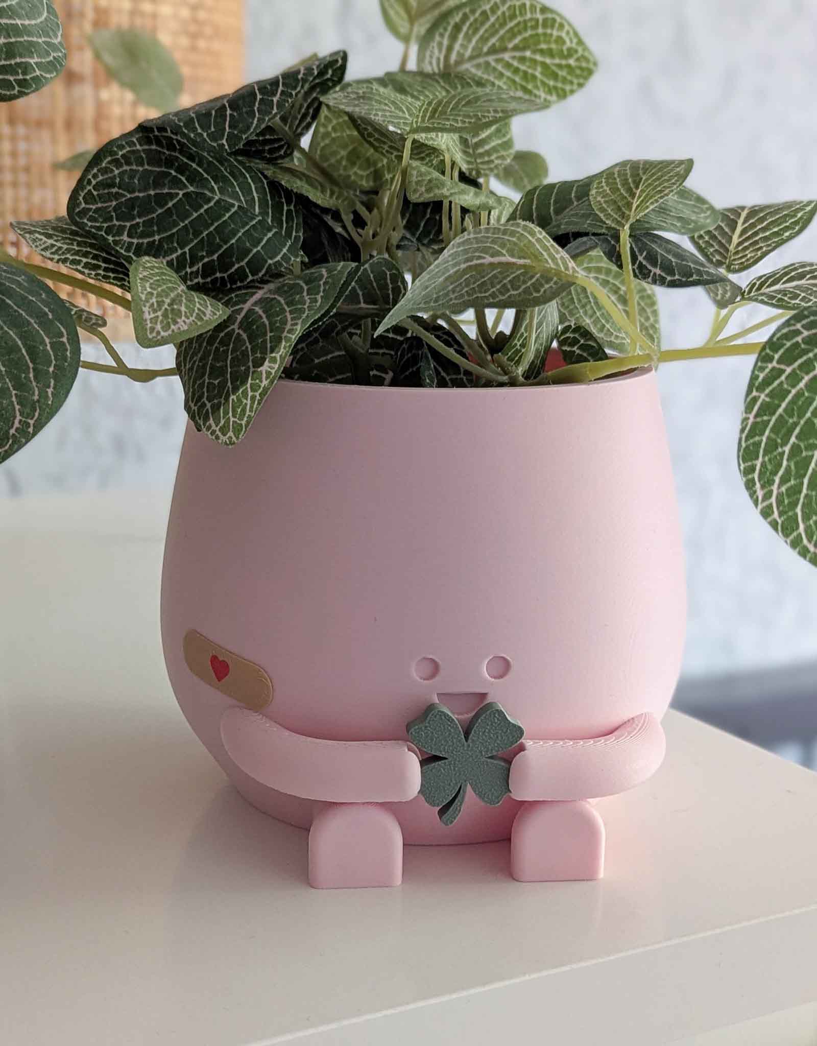 Happy imperfect clover plant pot