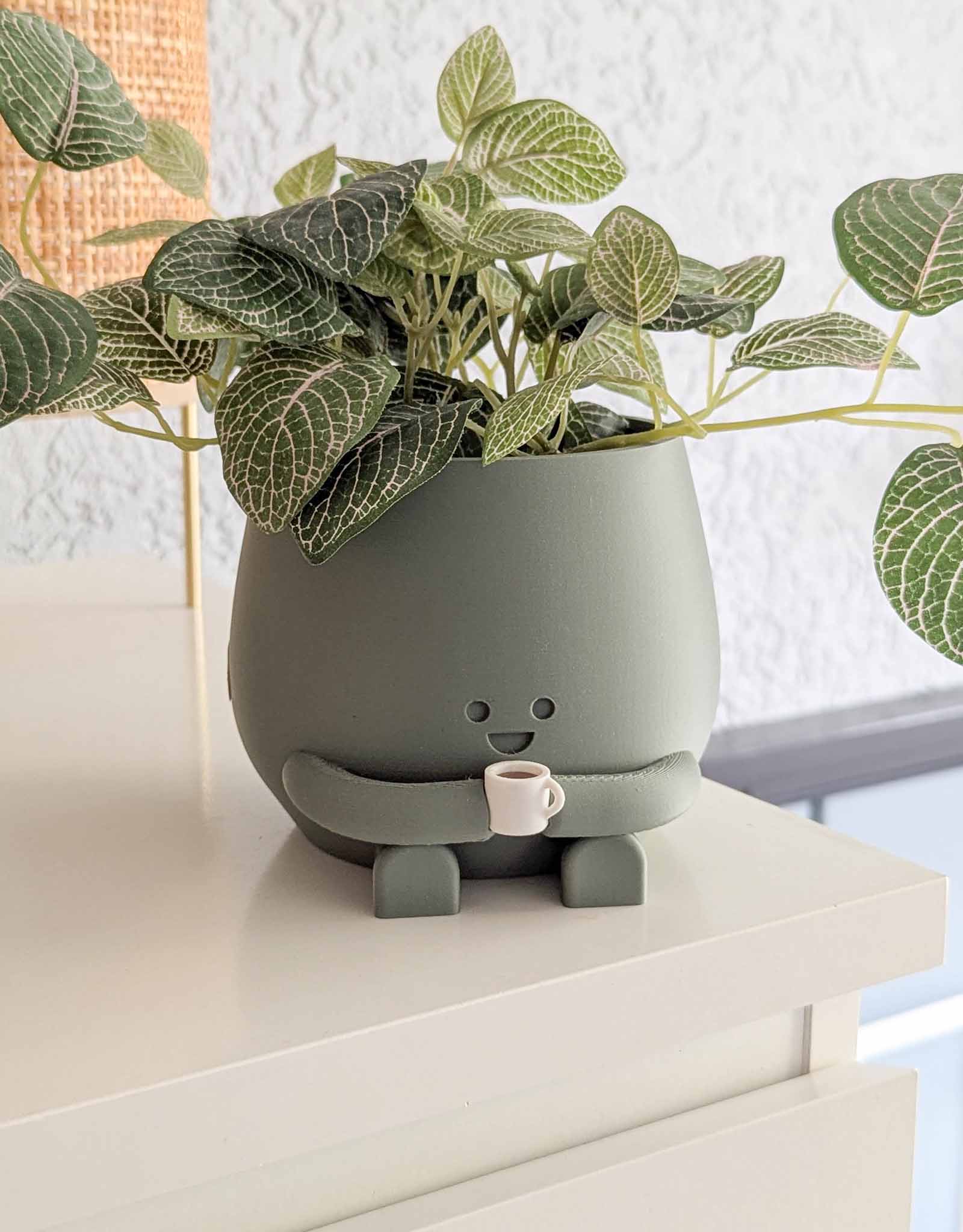 Happy imperfect coffee plant pot