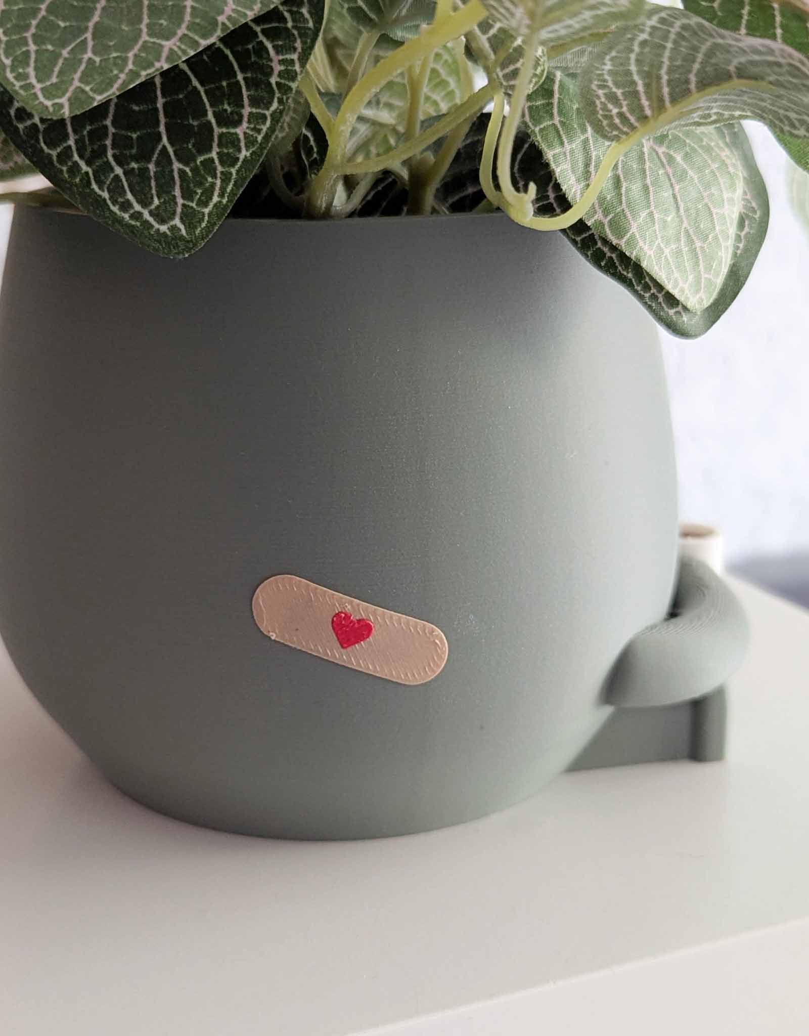 Happy imperfect coffee plant pot