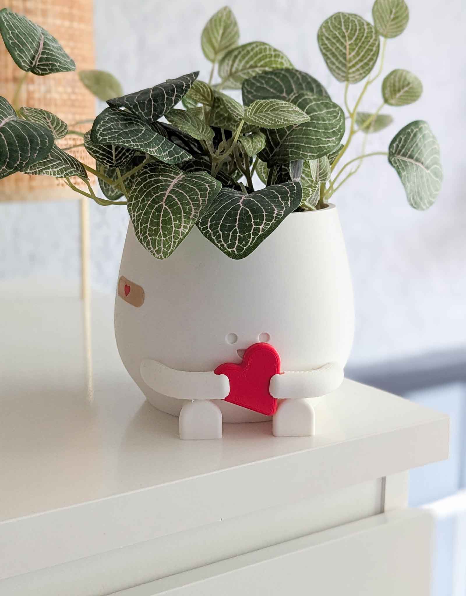Happy imperfect heart plant pot