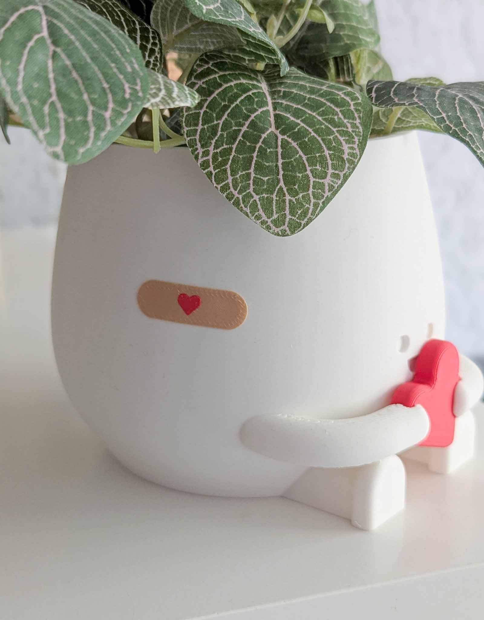 Happy imperfect heart plant pot