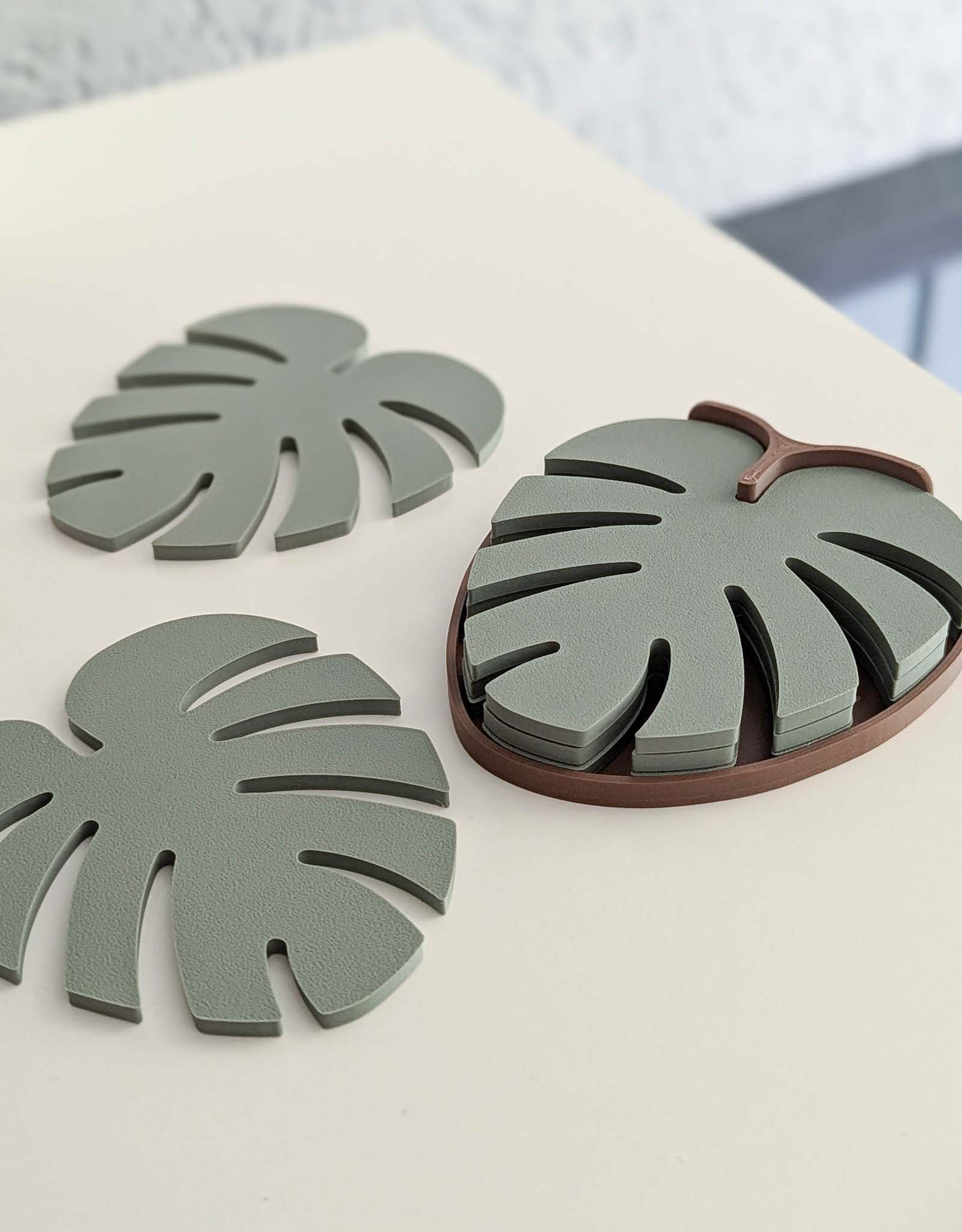 Monstera coasters 