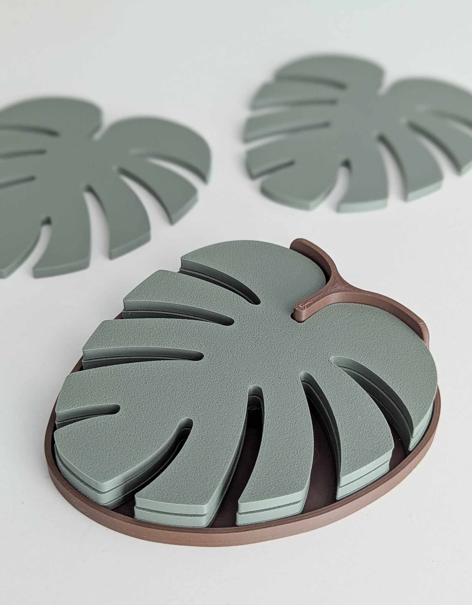 Monstera coasters 