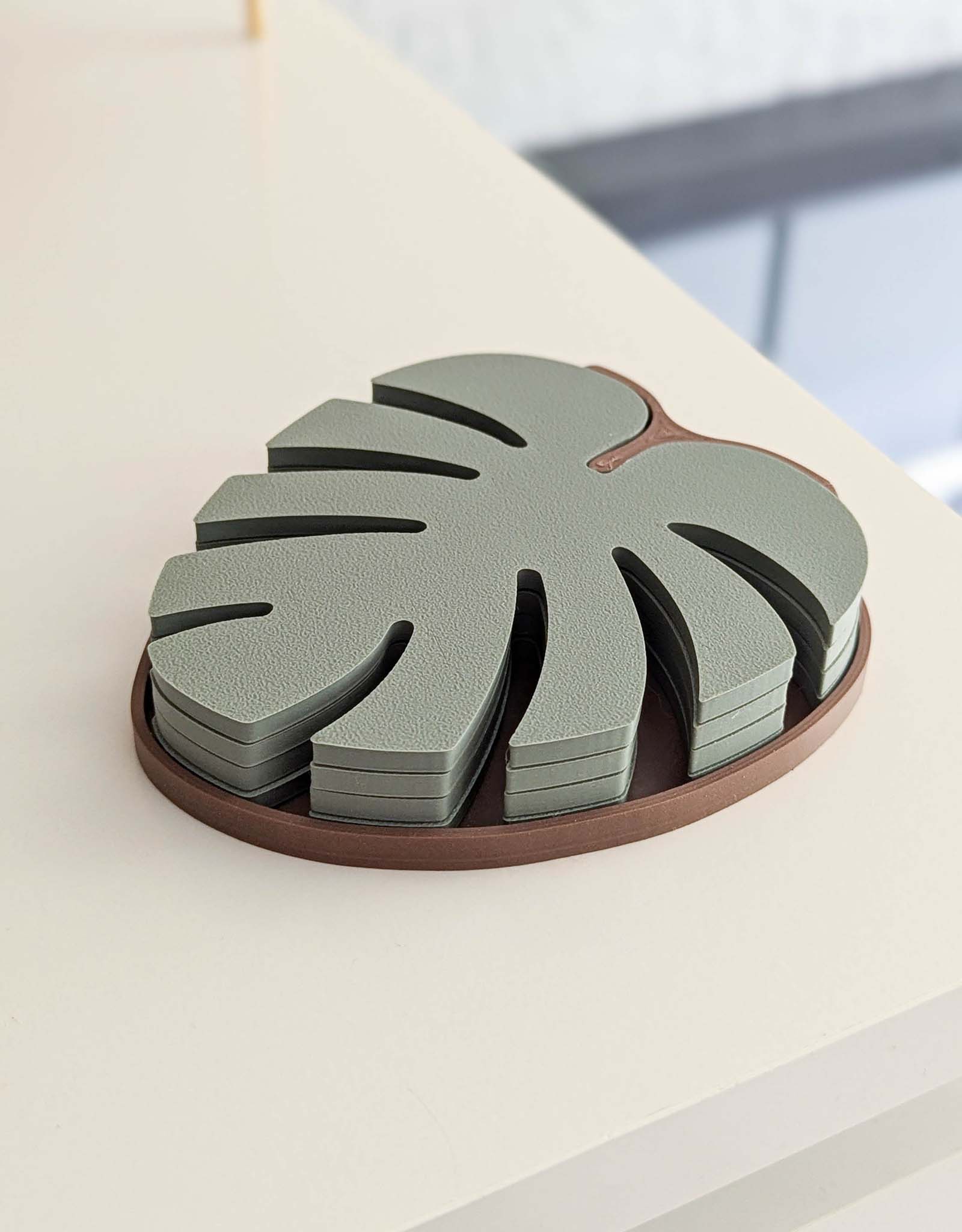 Monstera coasters 