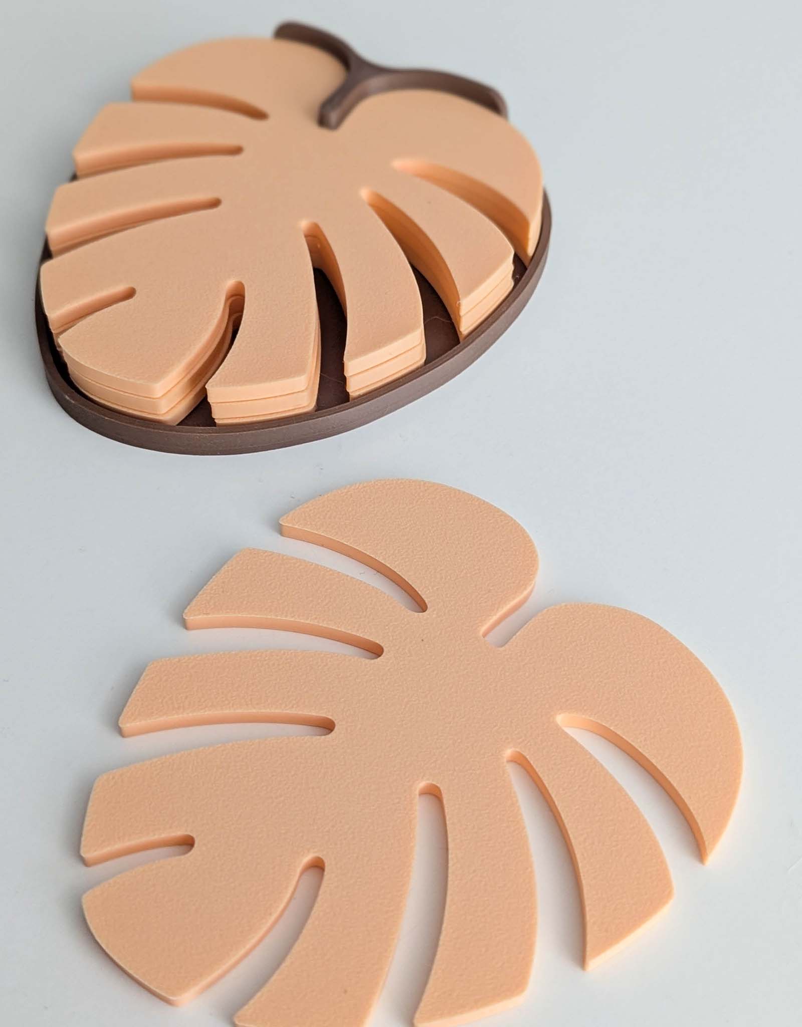 Monstera coasters 