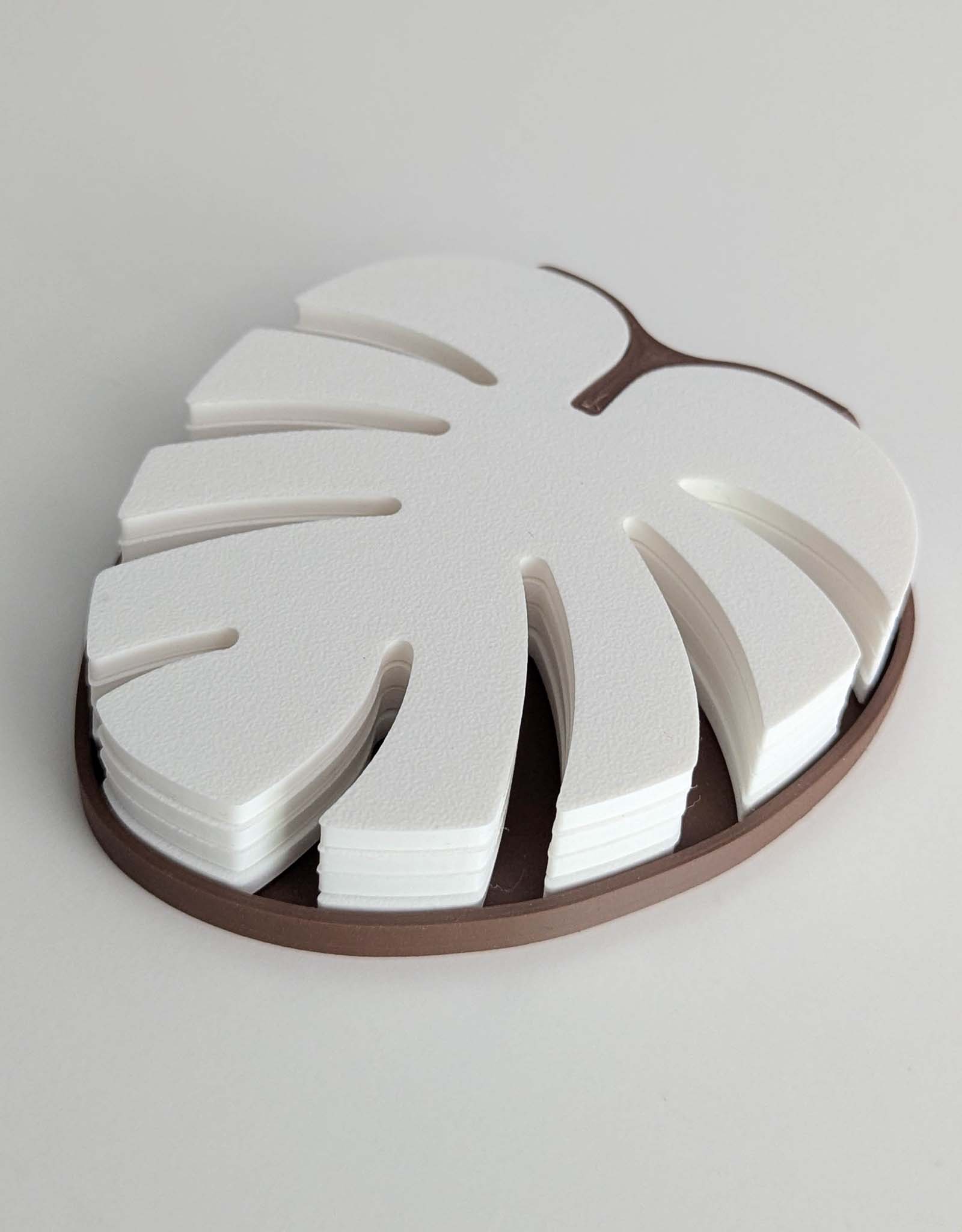 Monstera coasters 