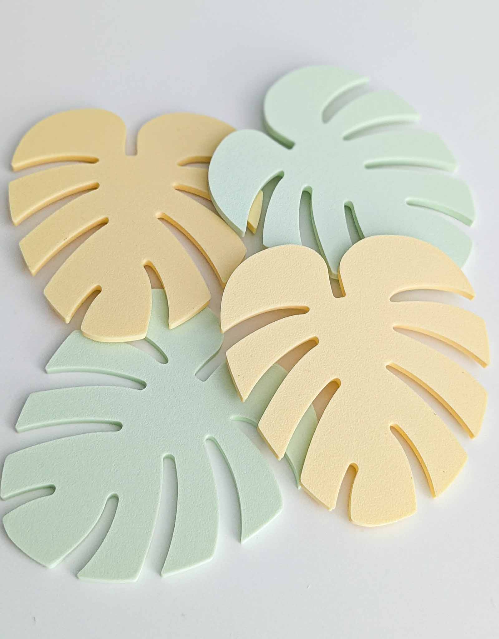 Monstera coasters 