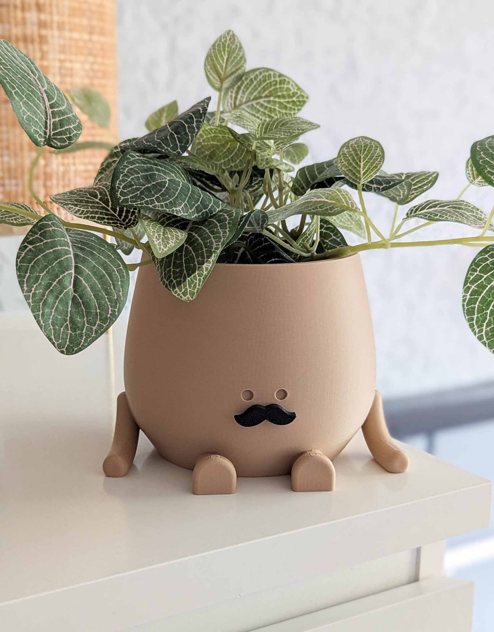 Happy imperfect mustache plant pot