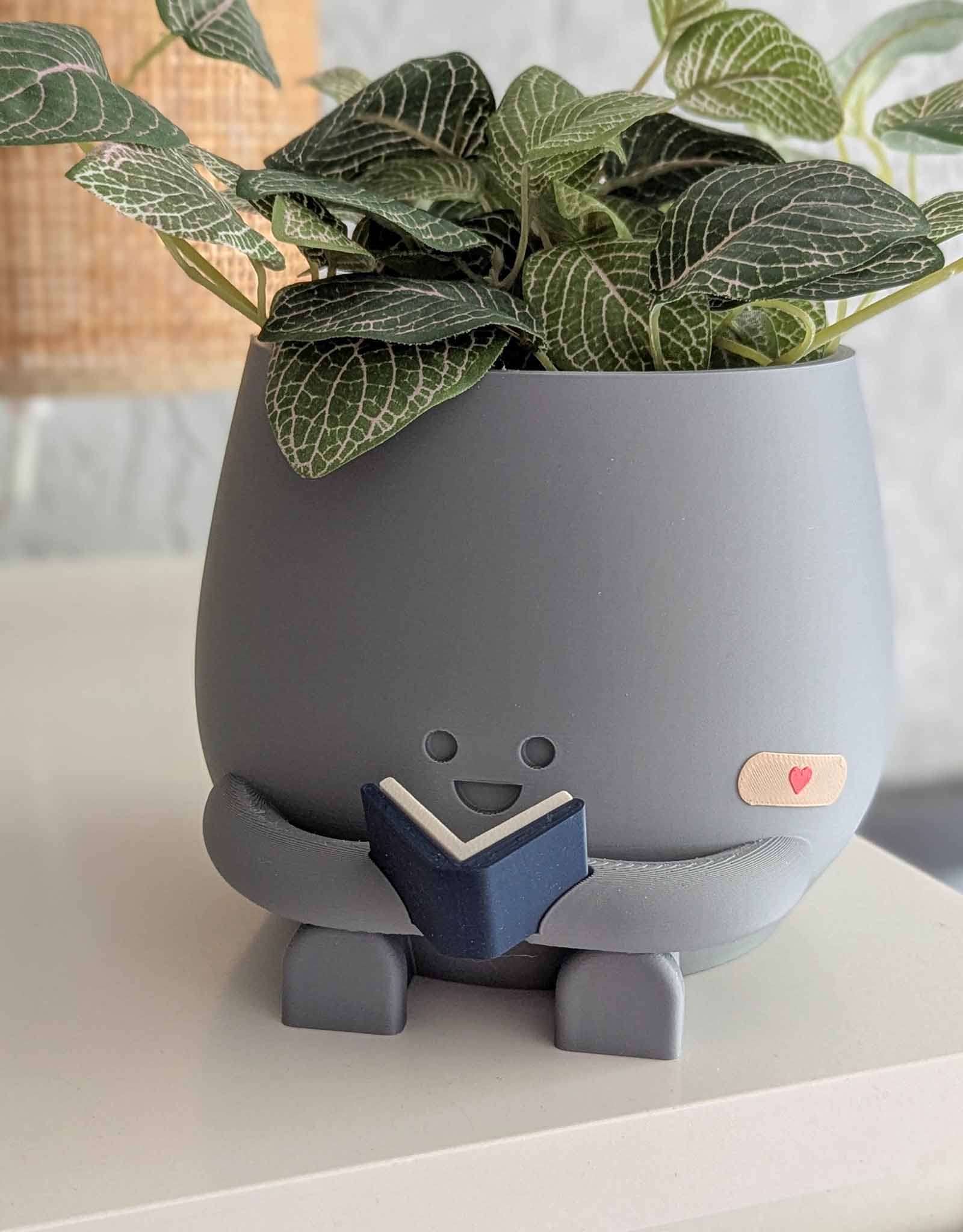 Happy reading imperfect plant pot