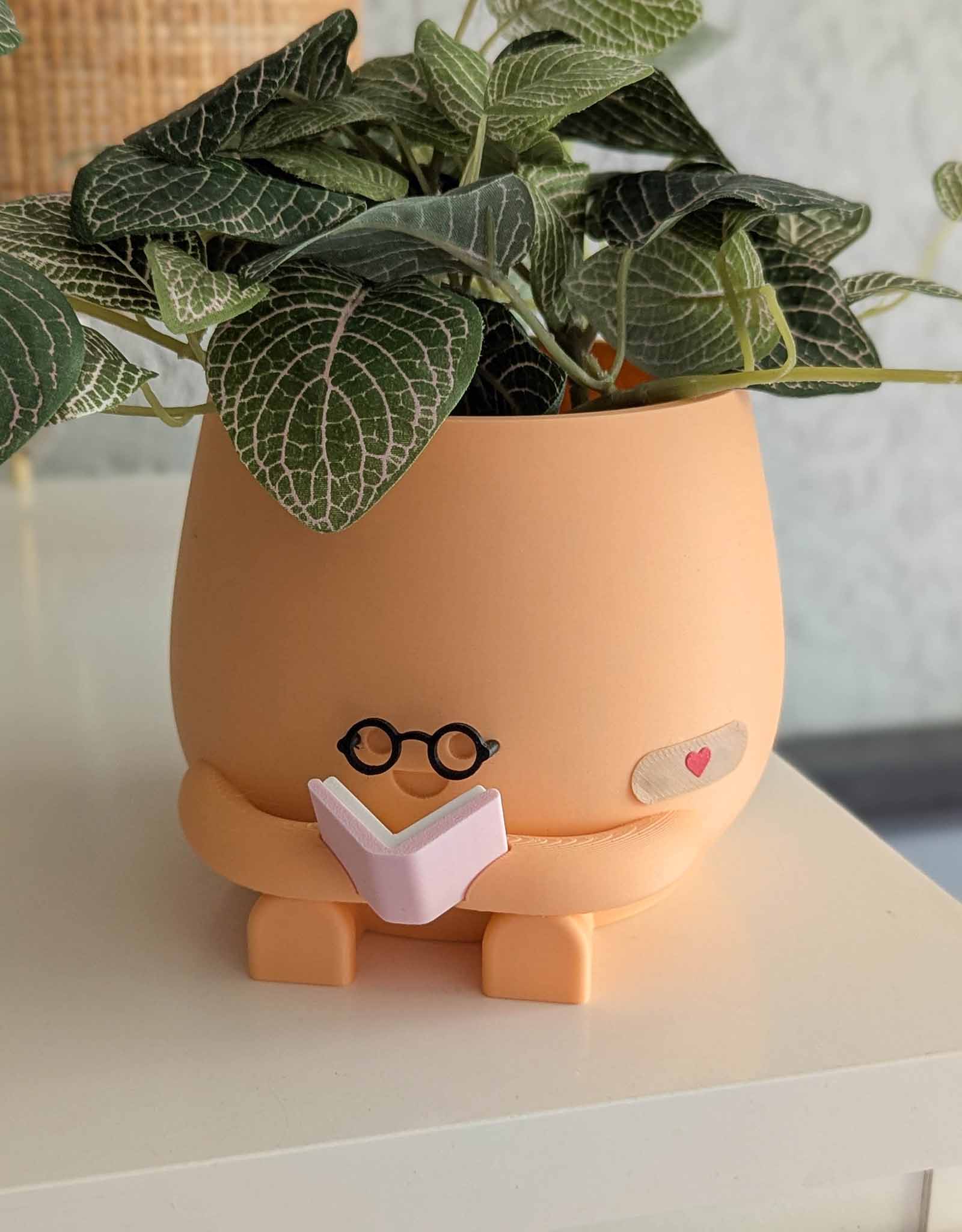 Happy reading imperfect plant pot with glasses
