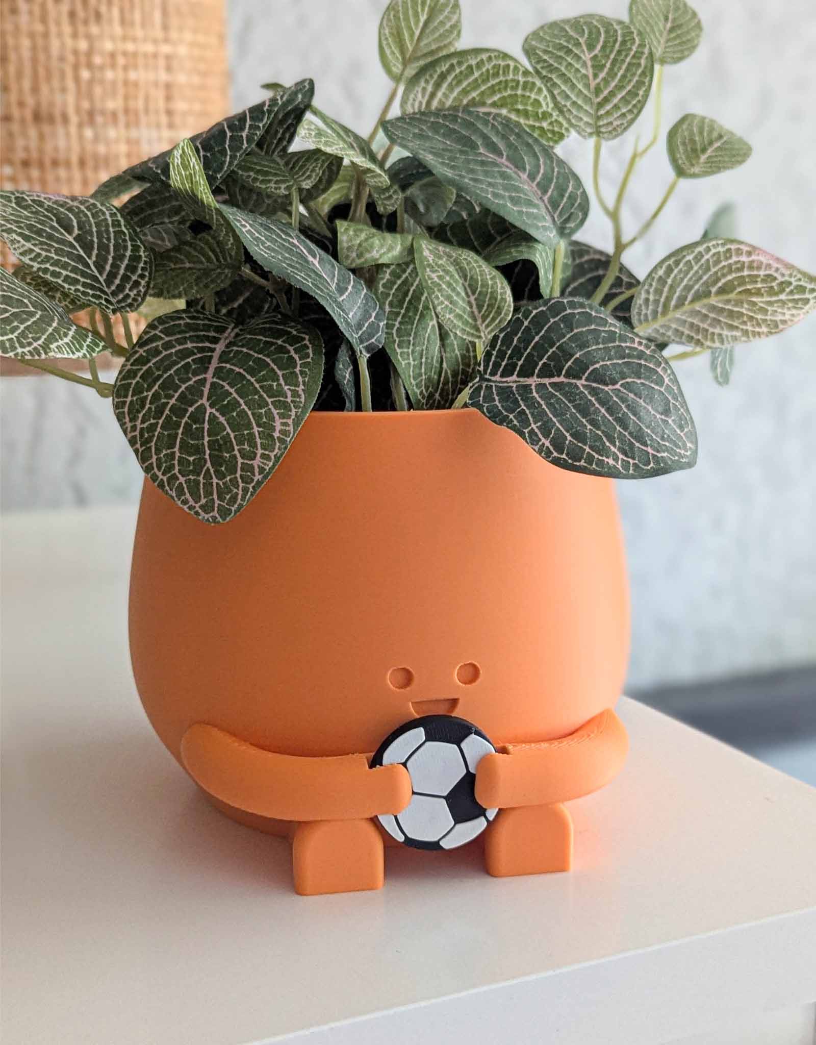 A happy plant pot in orange holding a football 