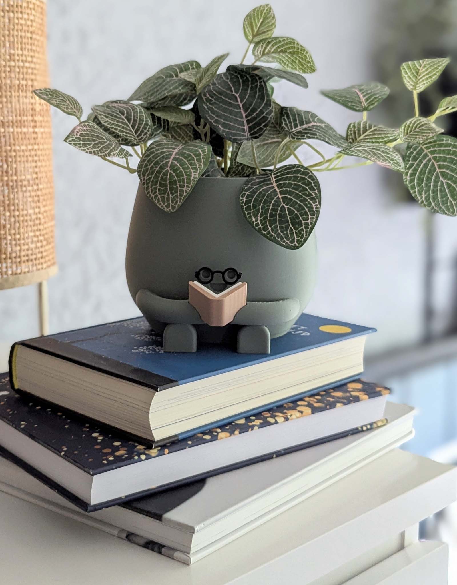Plant pot reading book with glasses dark green