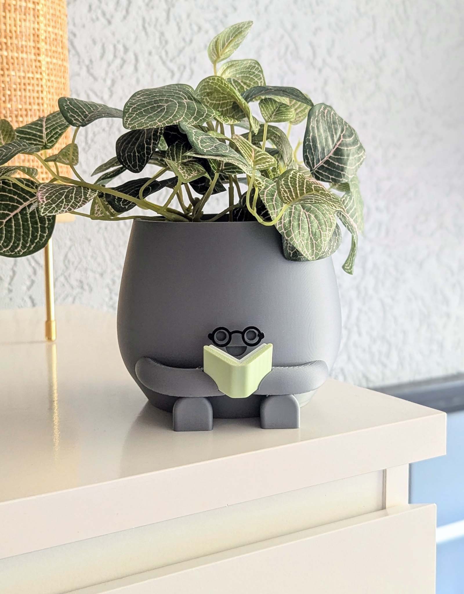 Plant pot reading book with glasses grey