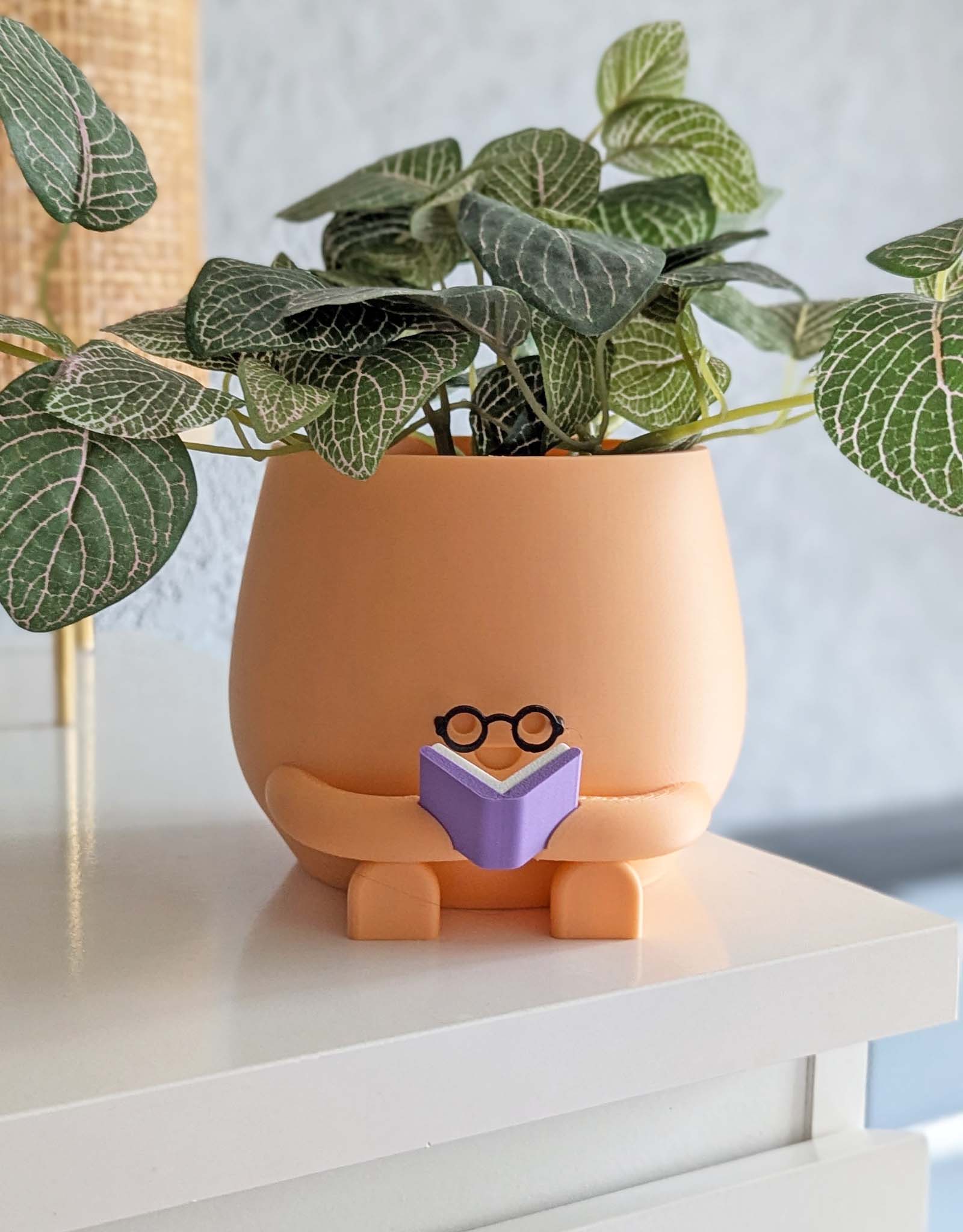 Plant pot reading book with glasses peach