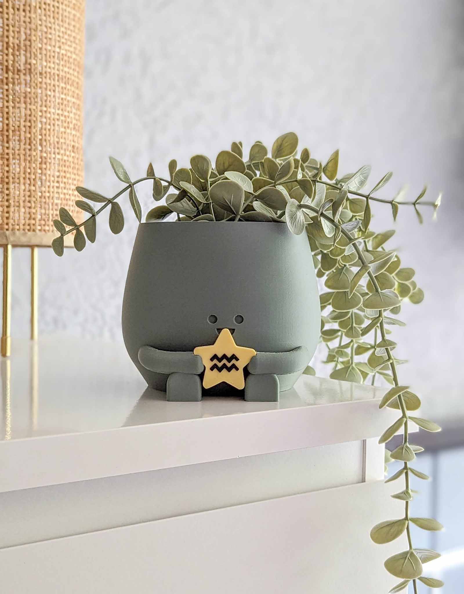 Happy plant pot zodiac signs
