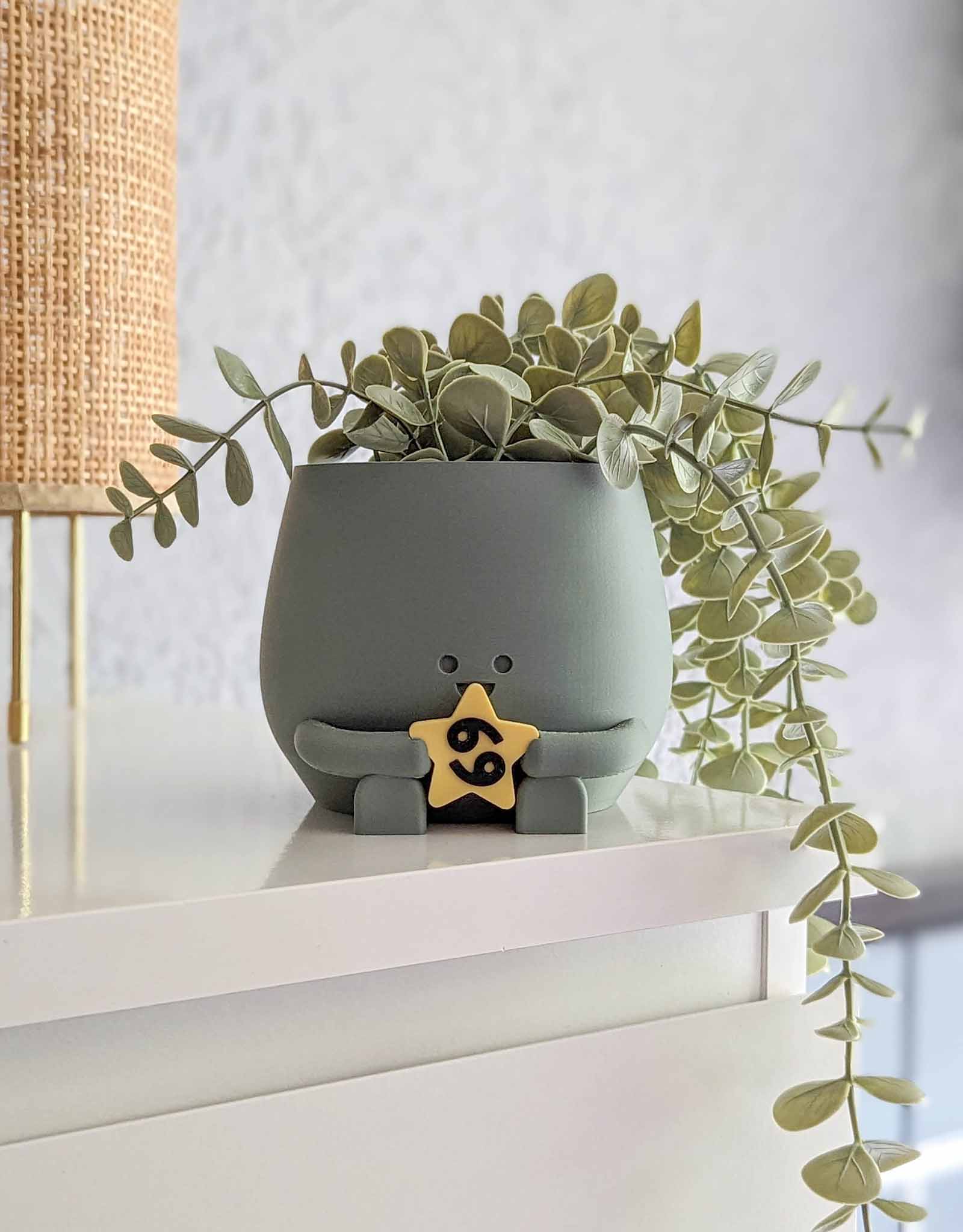 Happy plant pot zodiac signs
