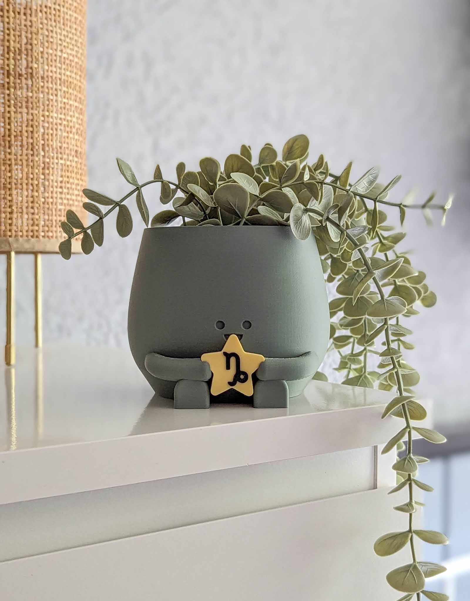 Happy plant pot zodiac signs