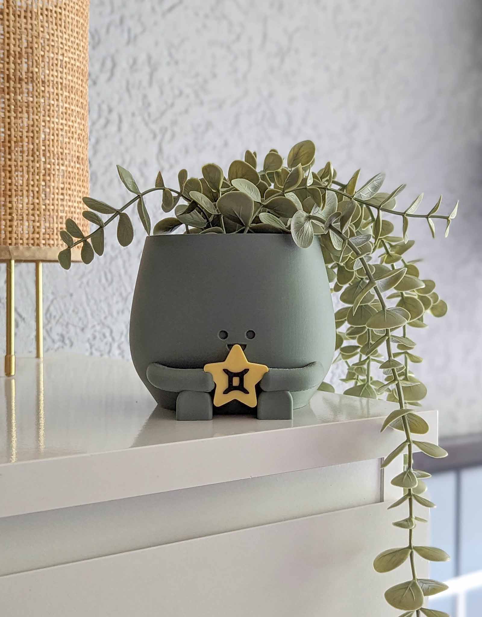 Happy plant pot zodiac signs