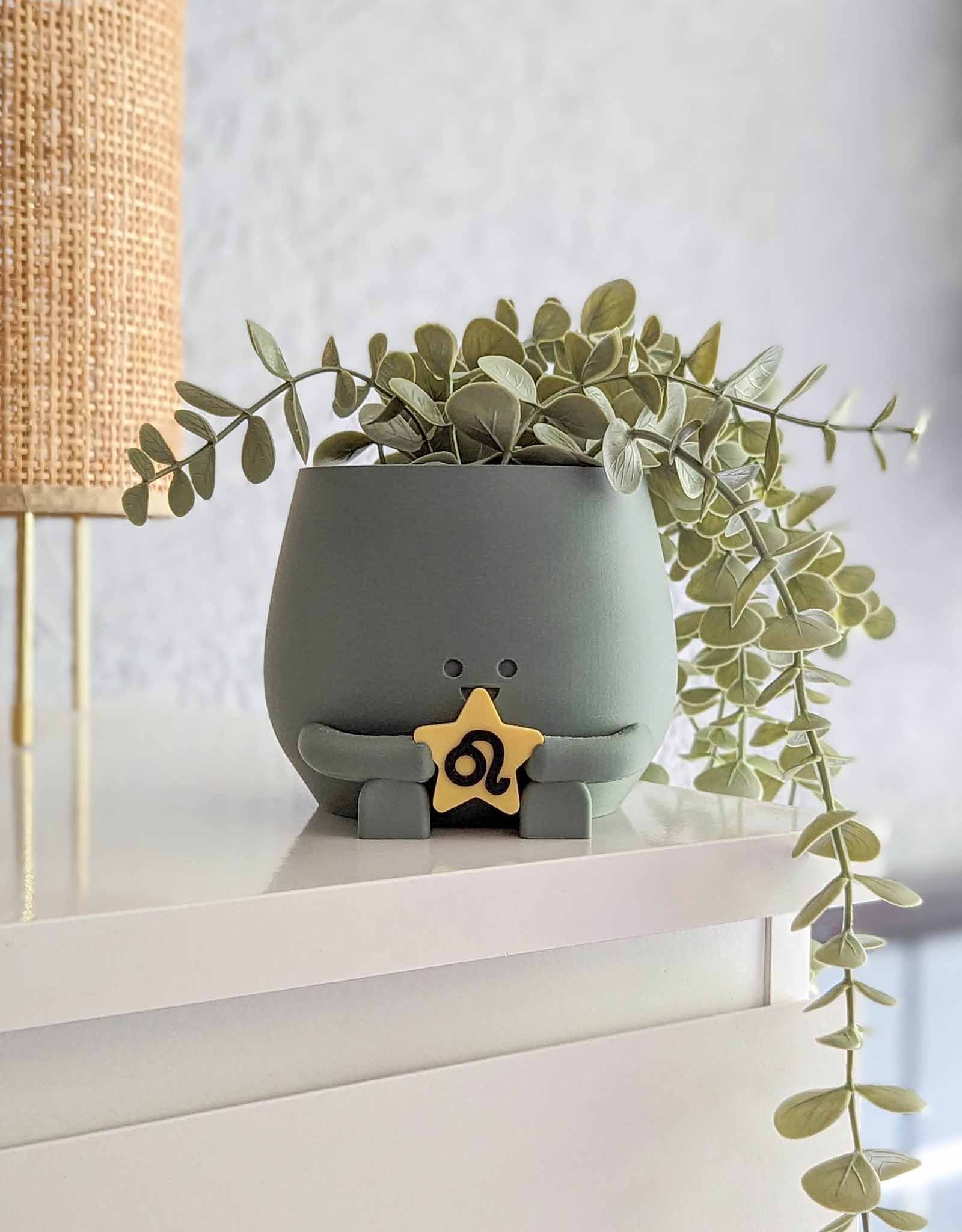 Happy plant pot zodiac signs