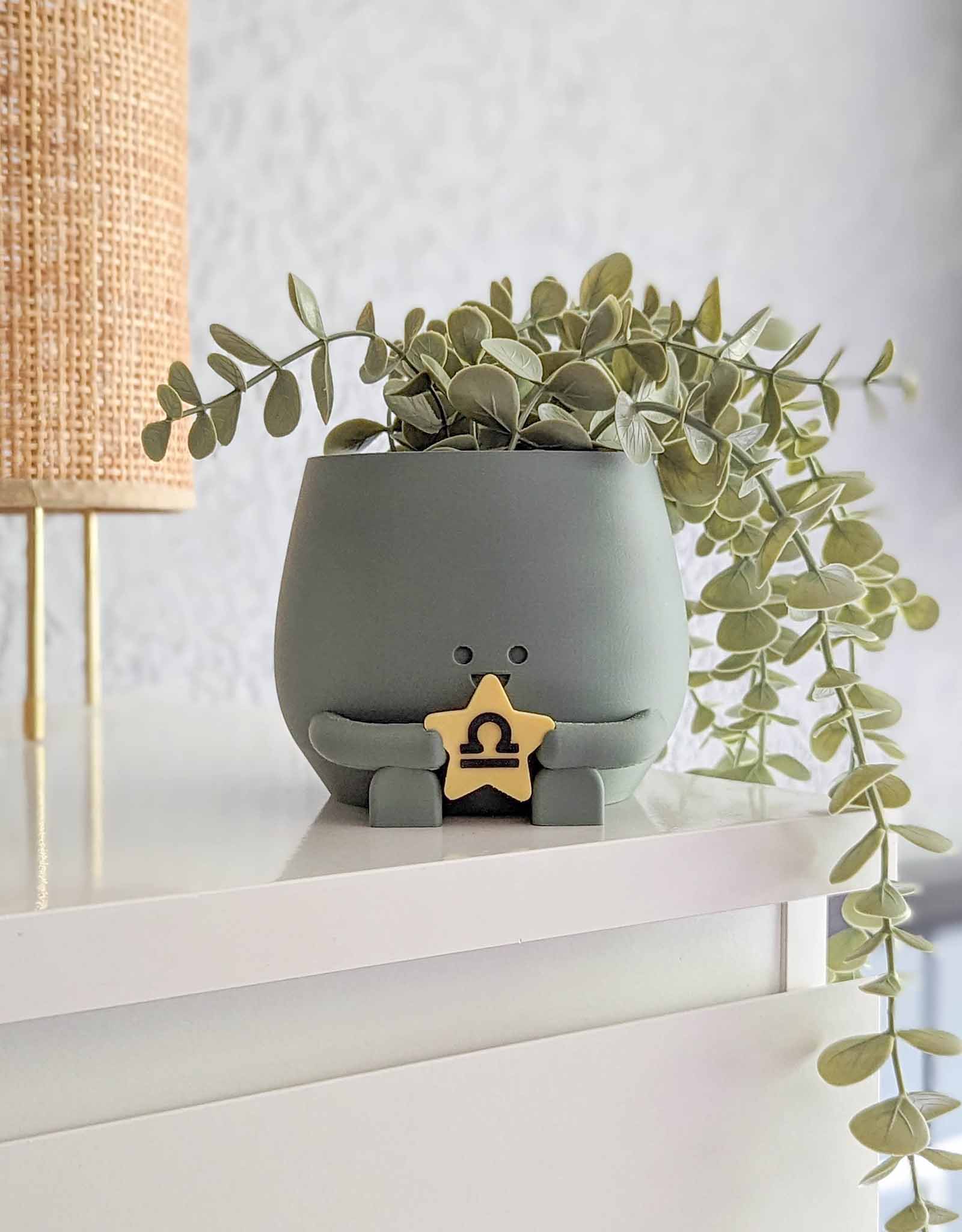 Happy plant pot zodiac signs
