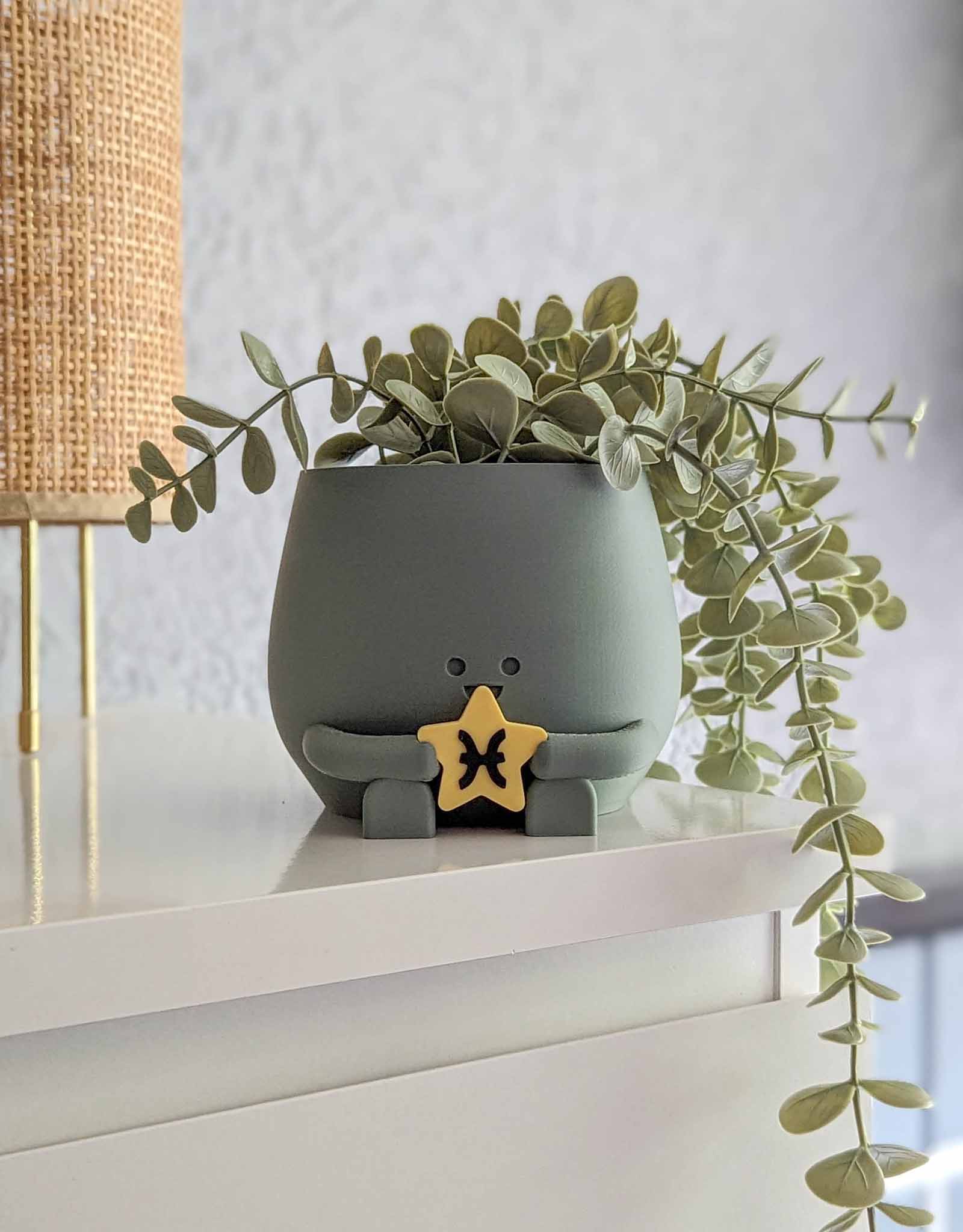 Happy plant pot zodiac signs