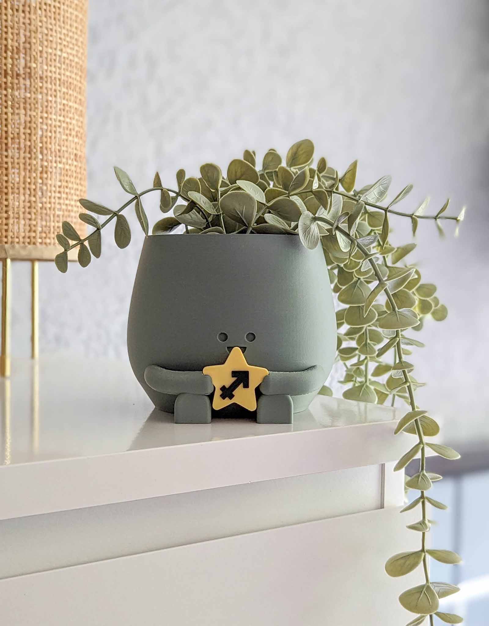 Happy plant pot zodiac signs