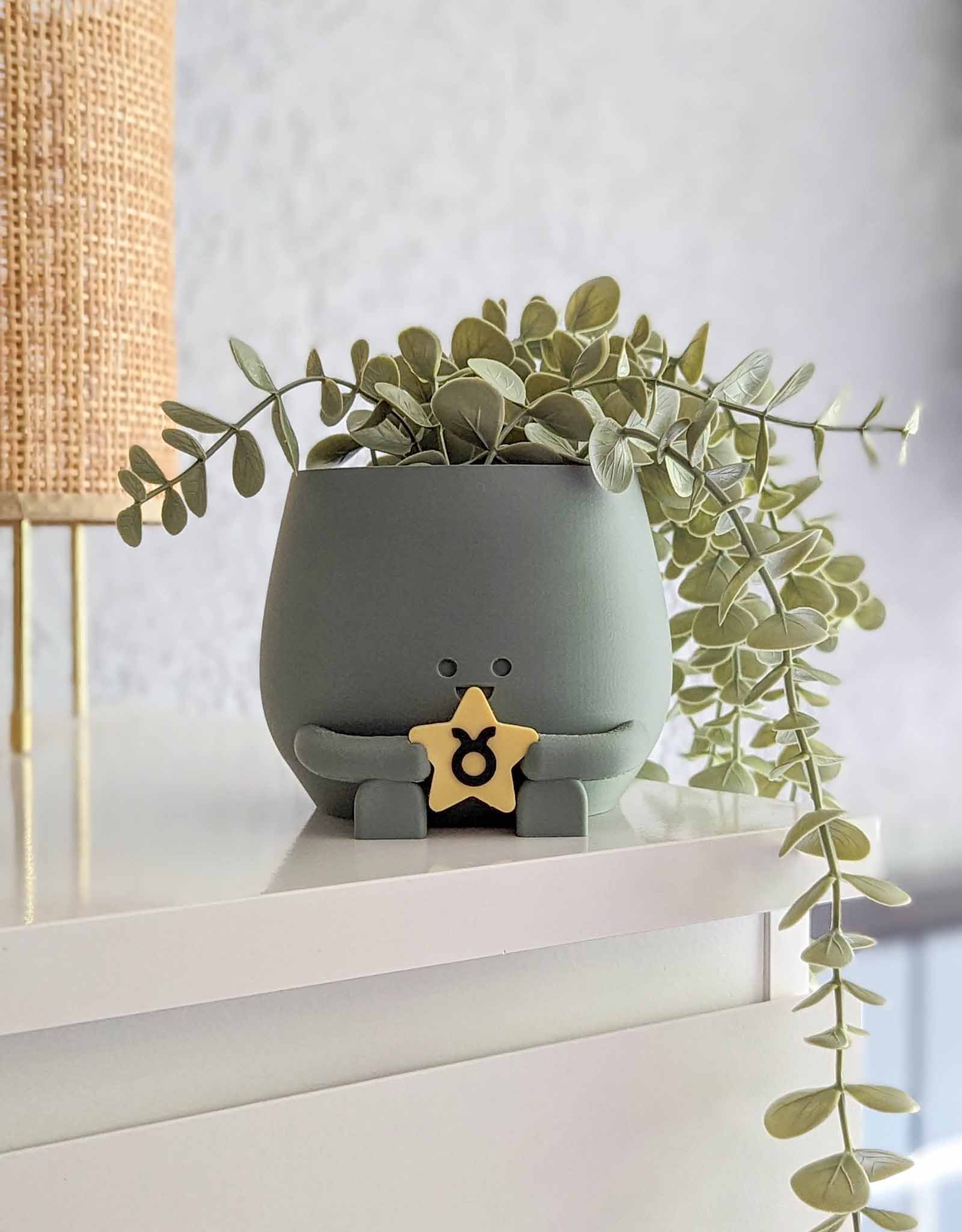 Happy plant pot zodiac signs