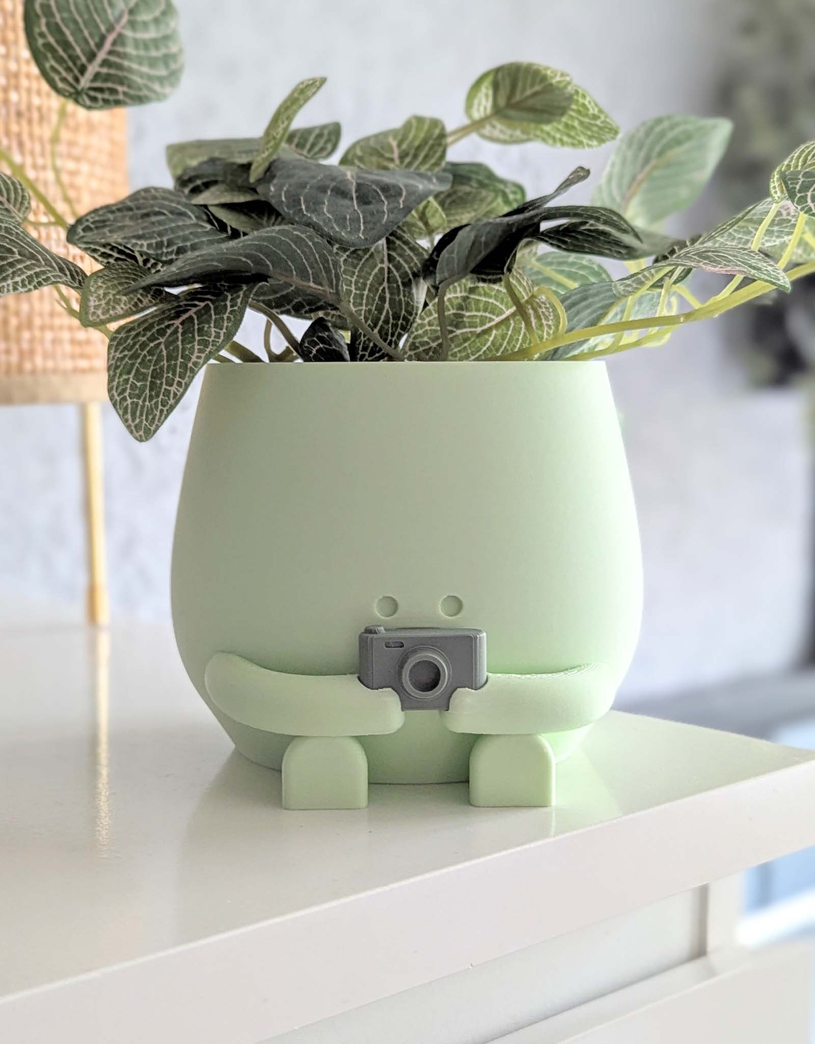 Happy camera plant pot