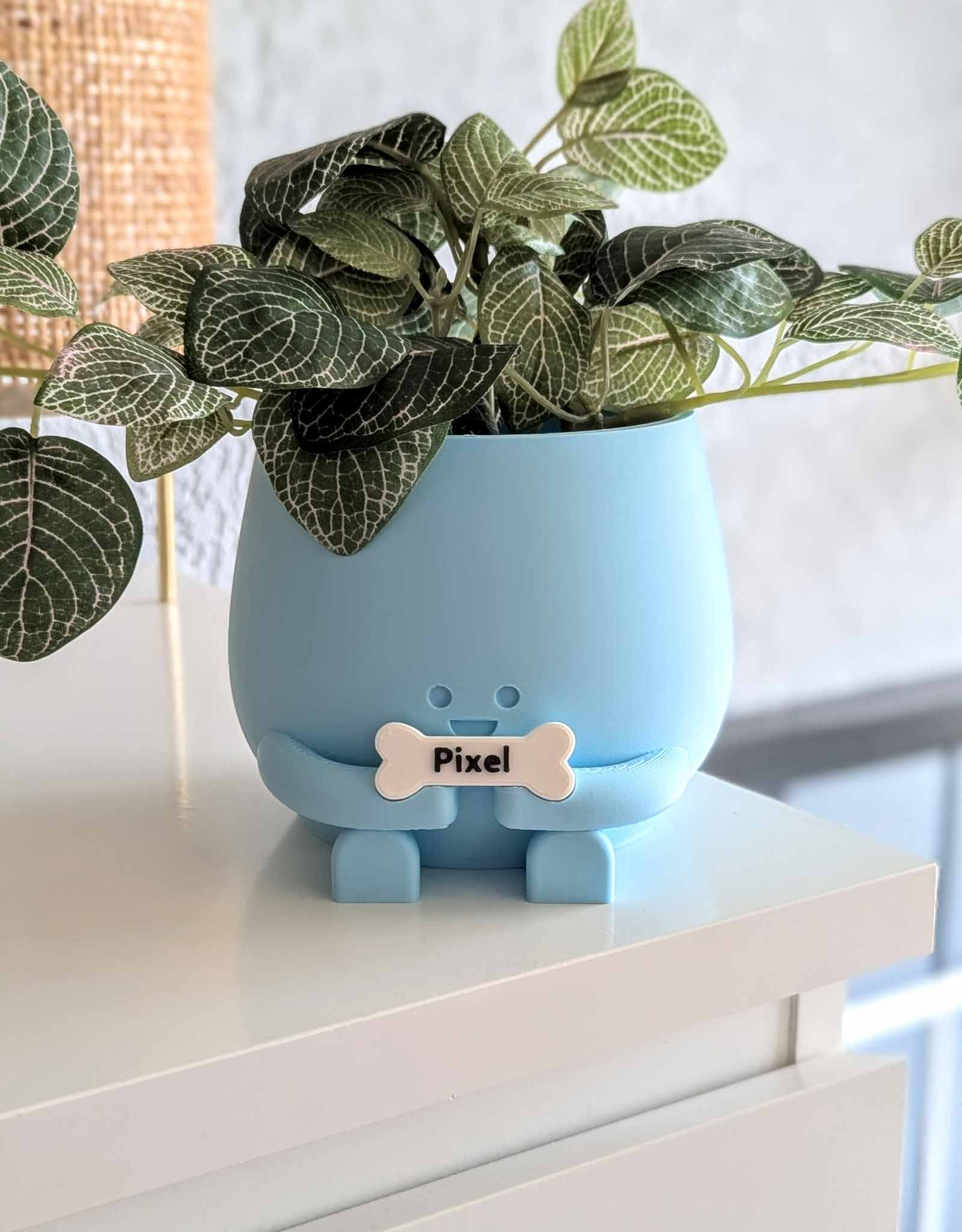 Happy dog bone plant pot