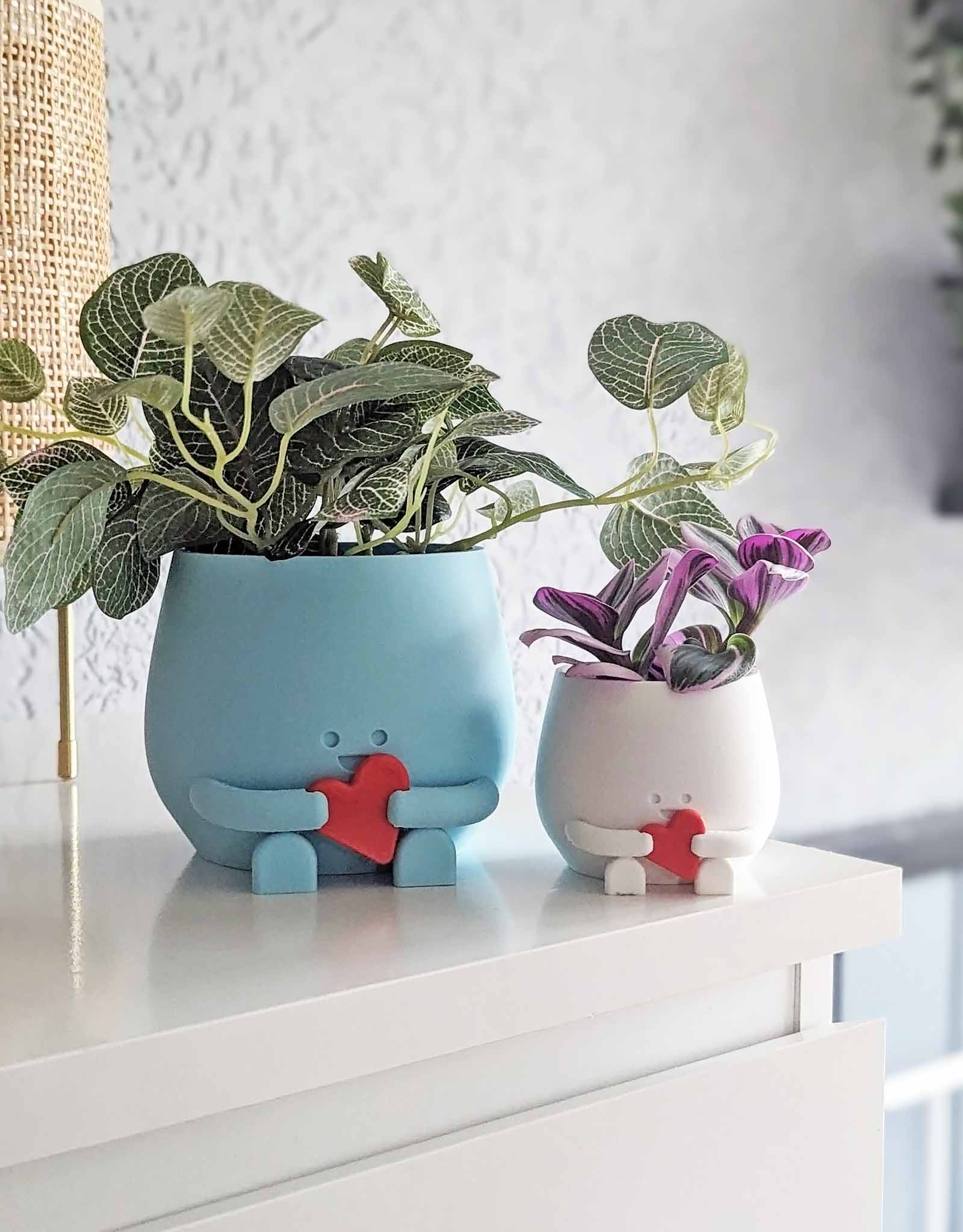 Happy heart plant pot