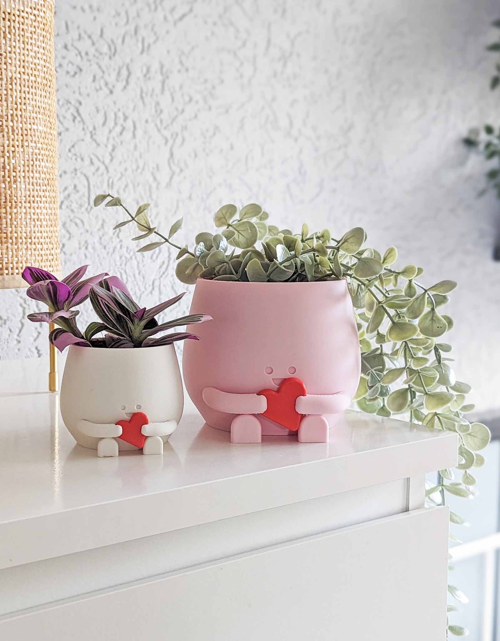Happy heart plant pot