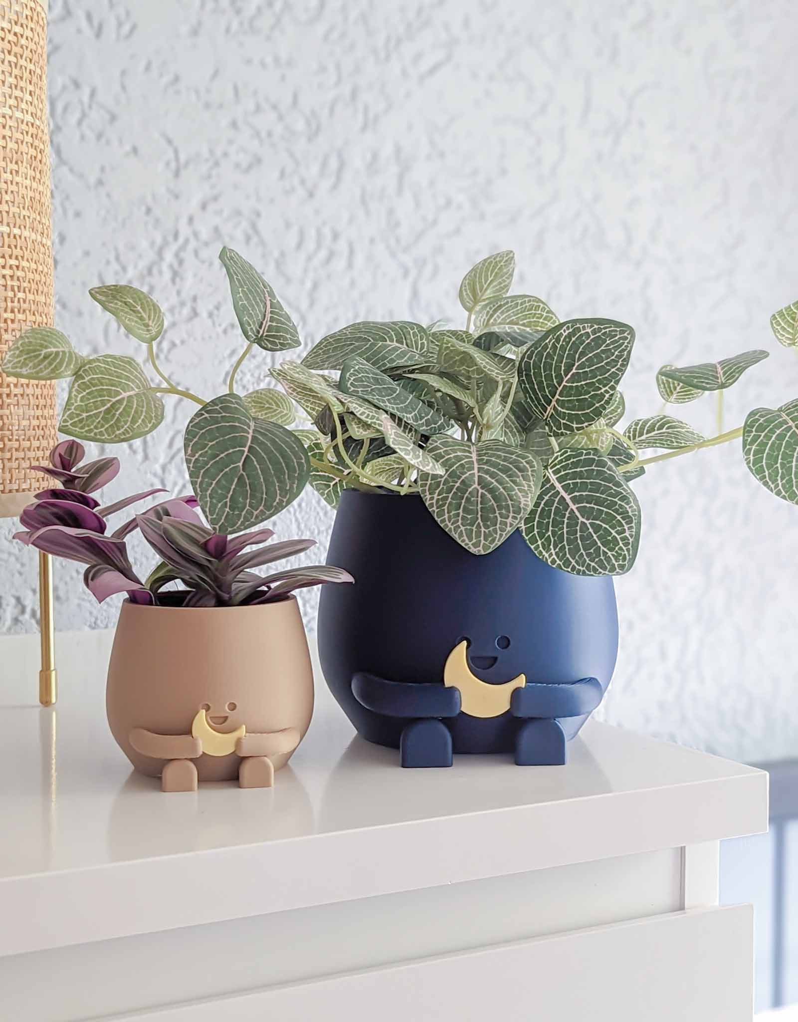 Happy plant pot cosmic star and moon