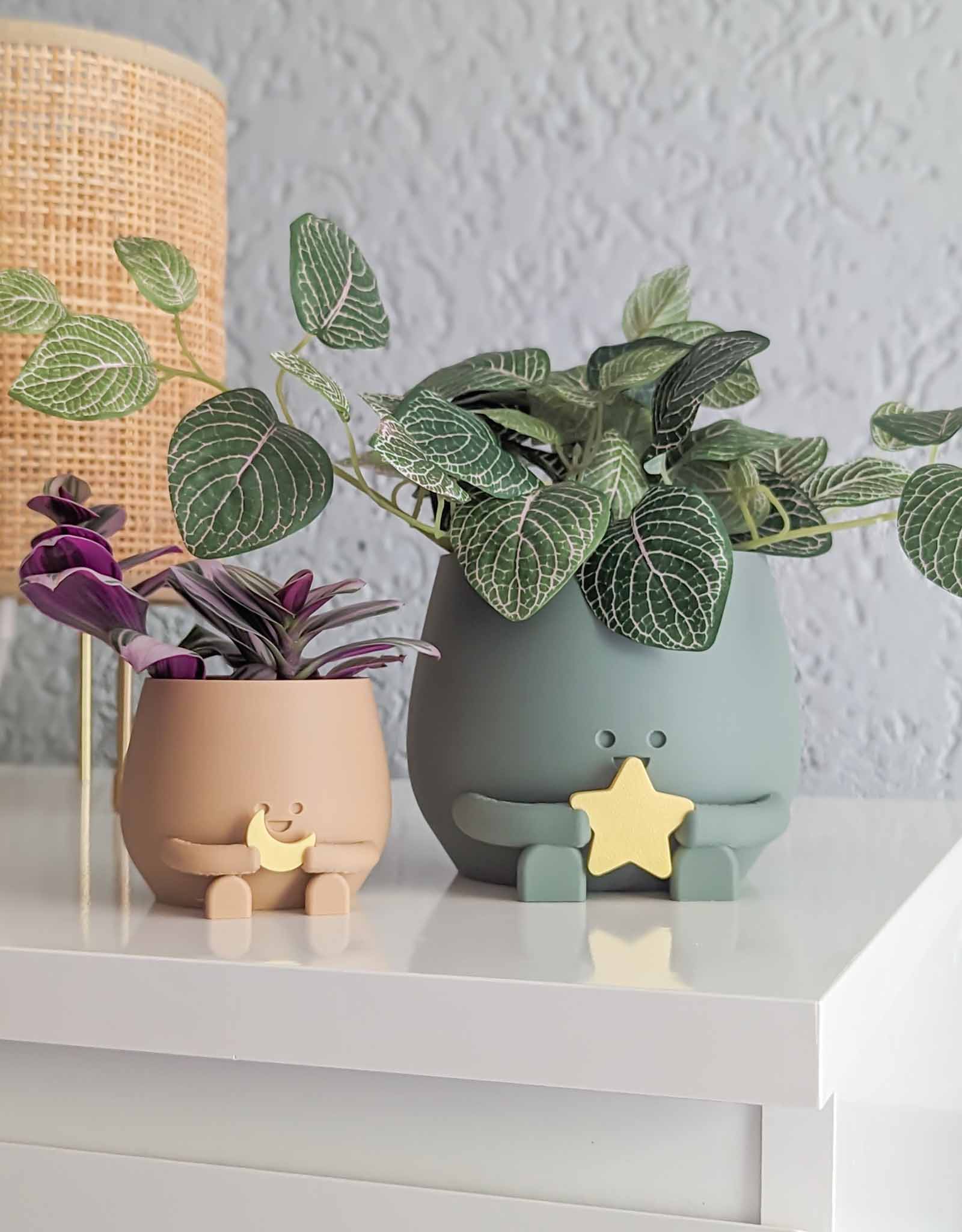 Happy plant pot cosmic star and moon