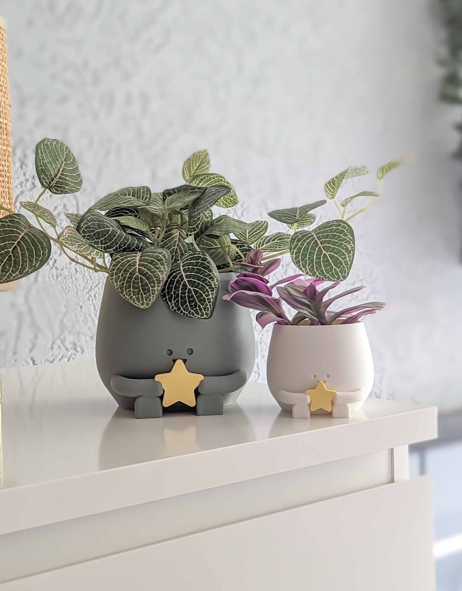 Happy plant pot cosmic star and moon