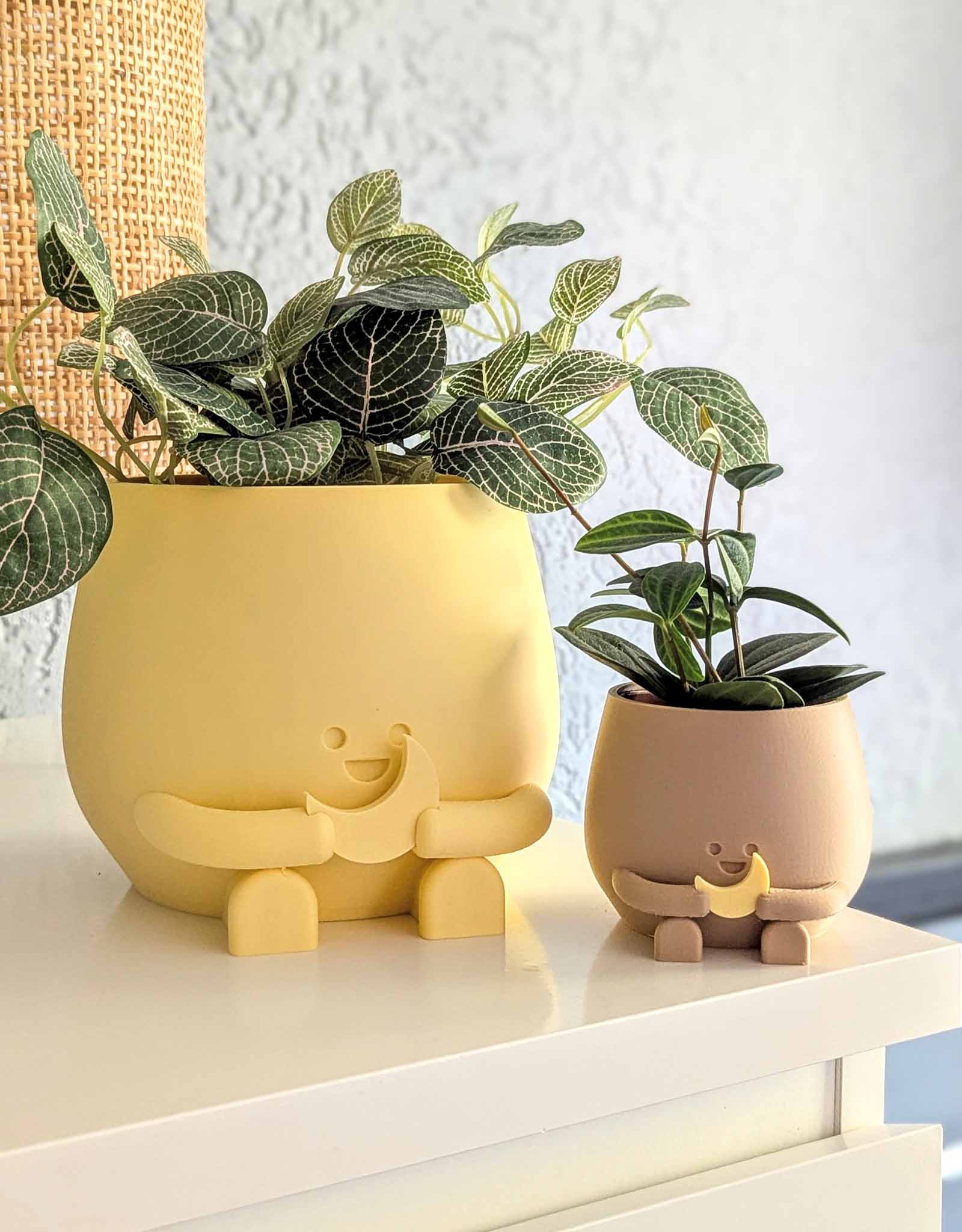 Happy plant pot cosmic star and moon
