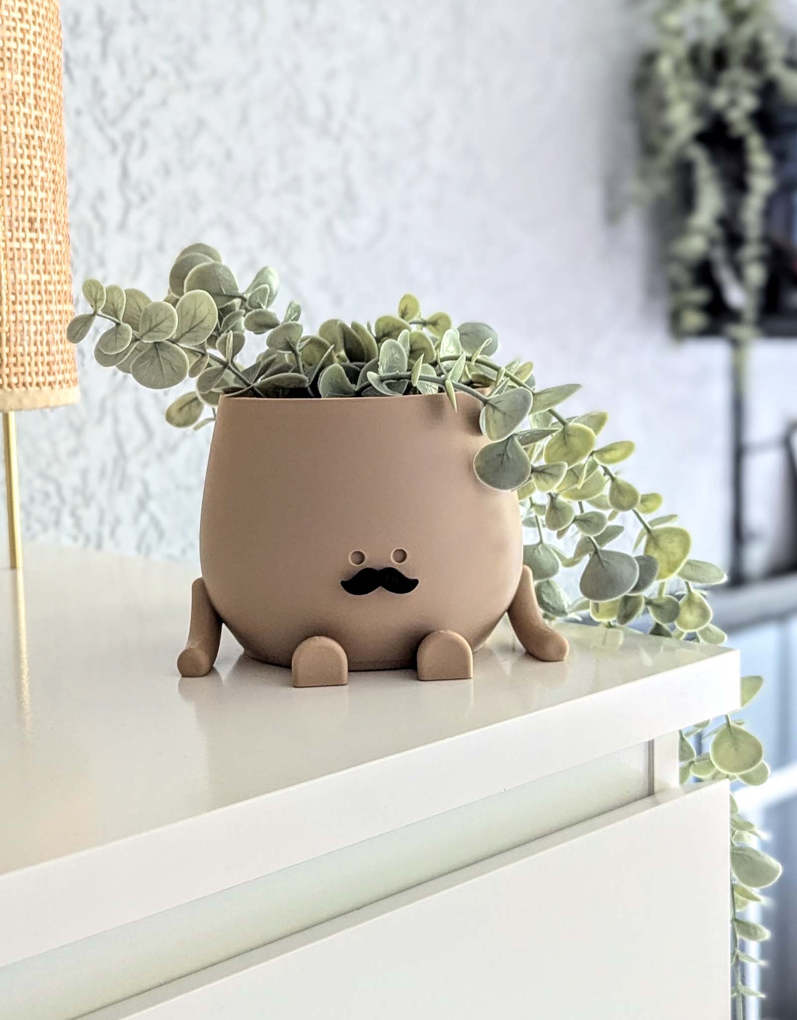 Happy mustache plant pot